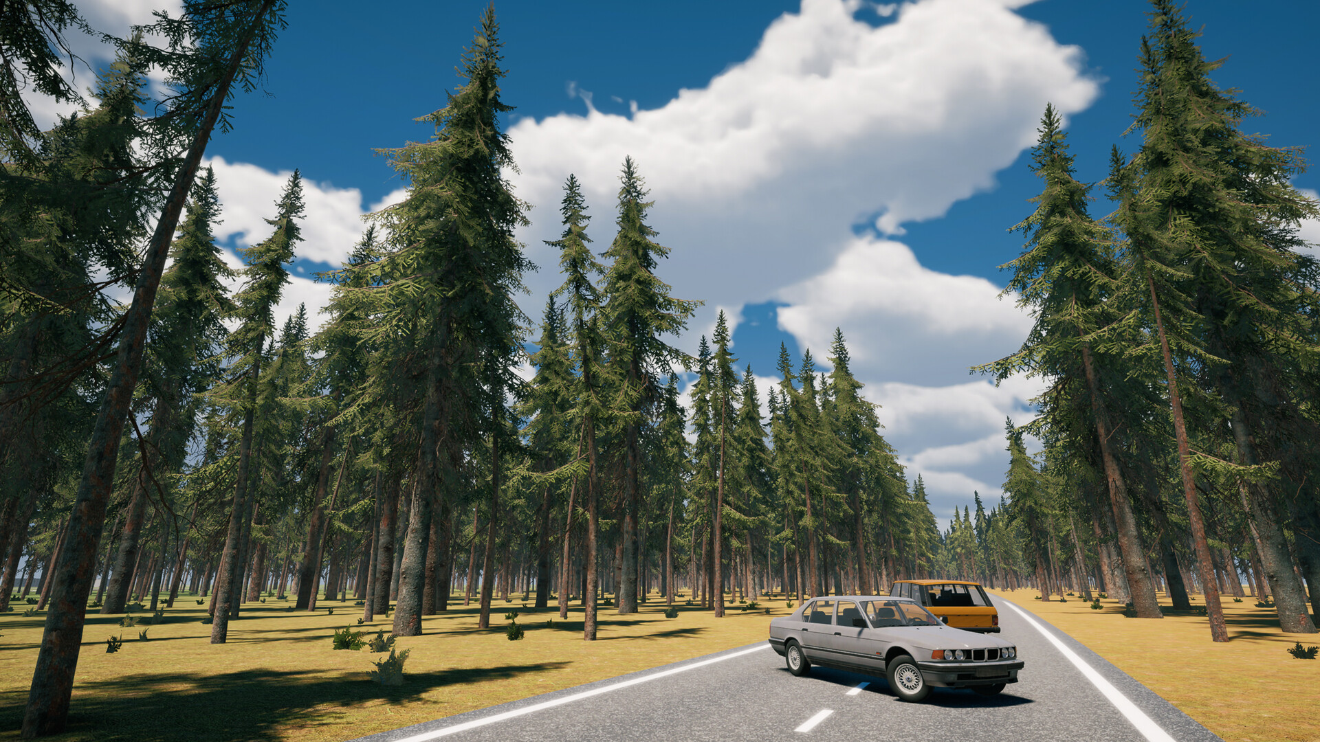 Country Drive Simulator screenshot 18