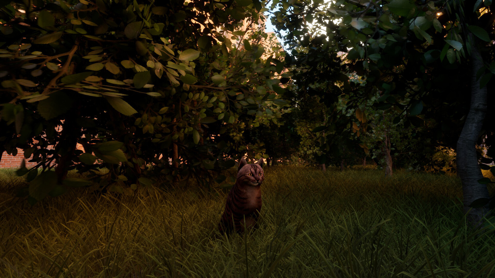 City of Cats screenshot 11