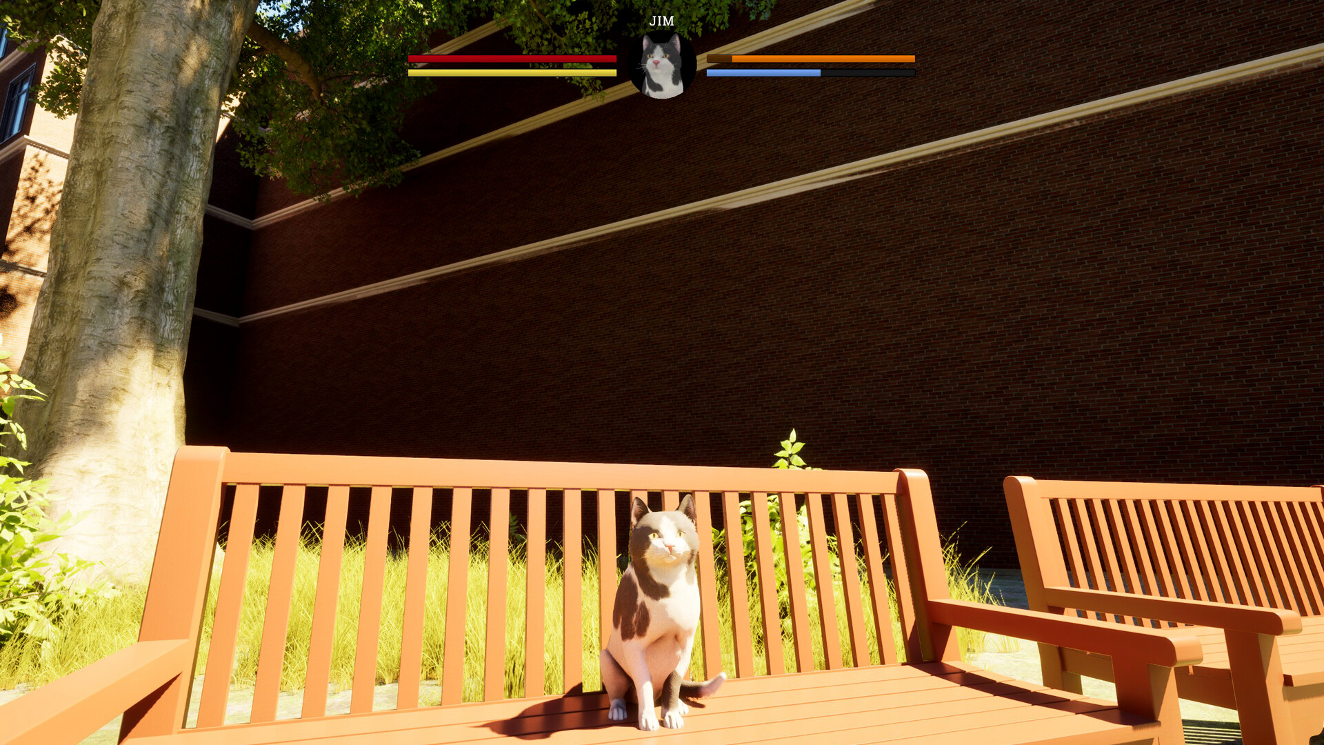 City of Cats screenshot 19