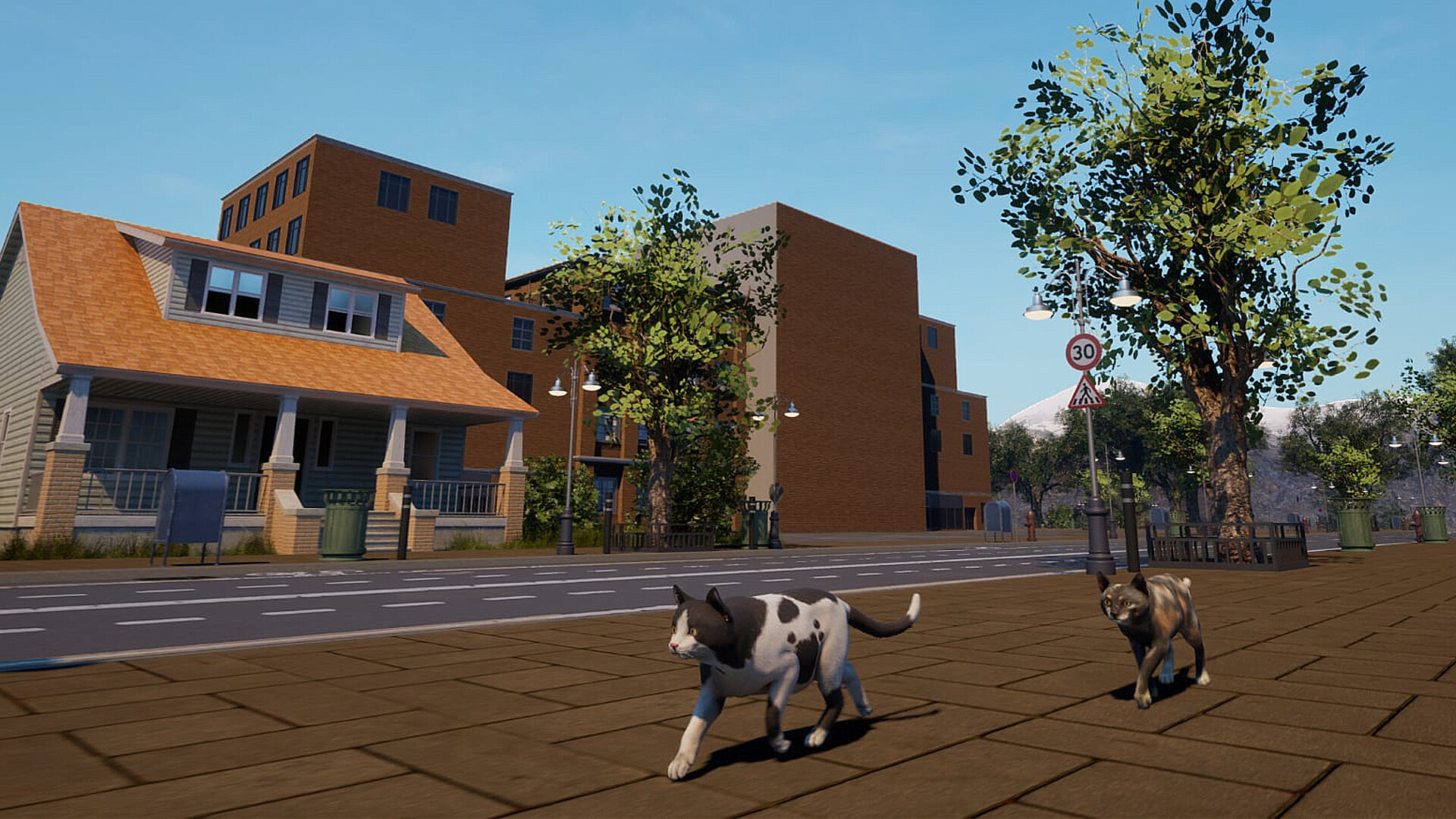 City of Cats screenshot 15