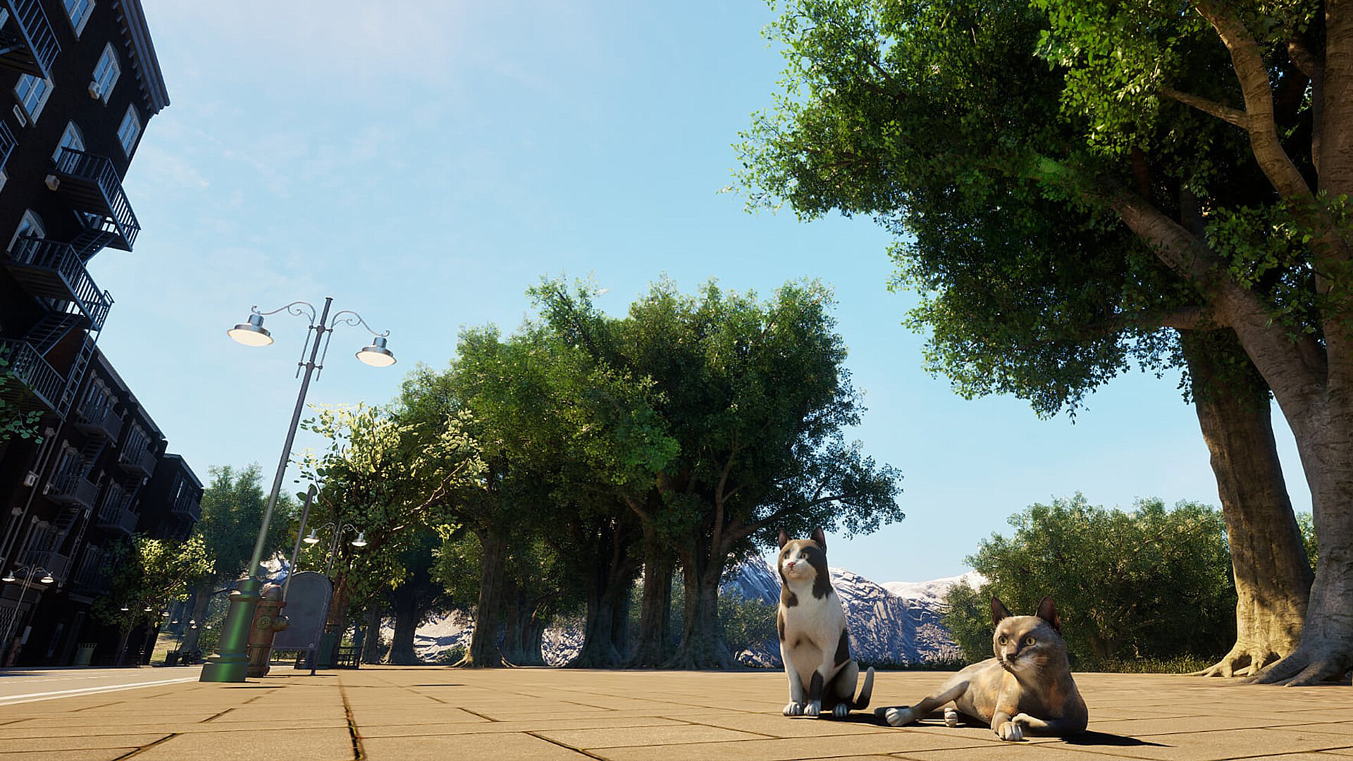 City of Cats screenshot 16