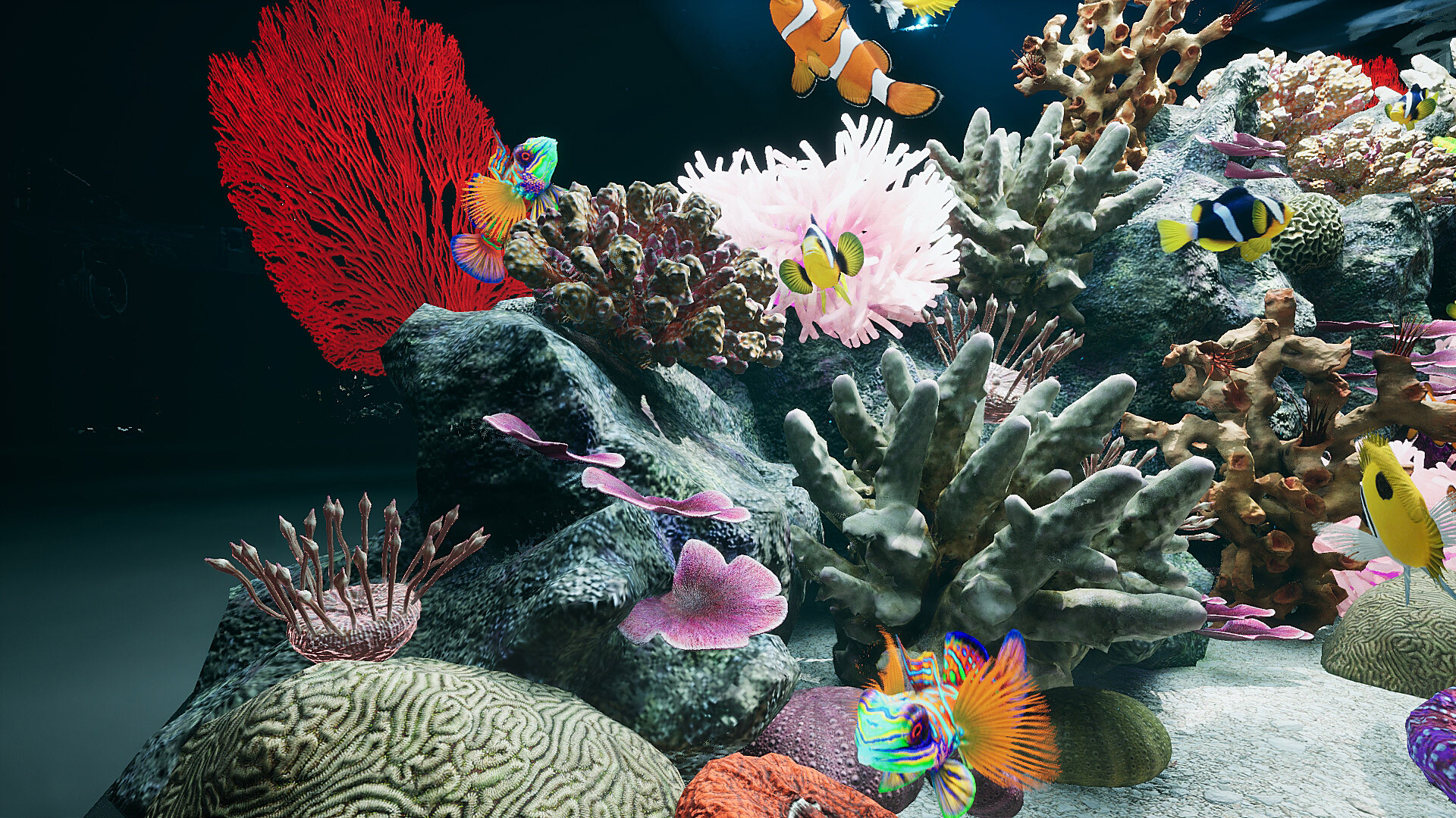 Sea Aquarium Screensaver screenshot 6