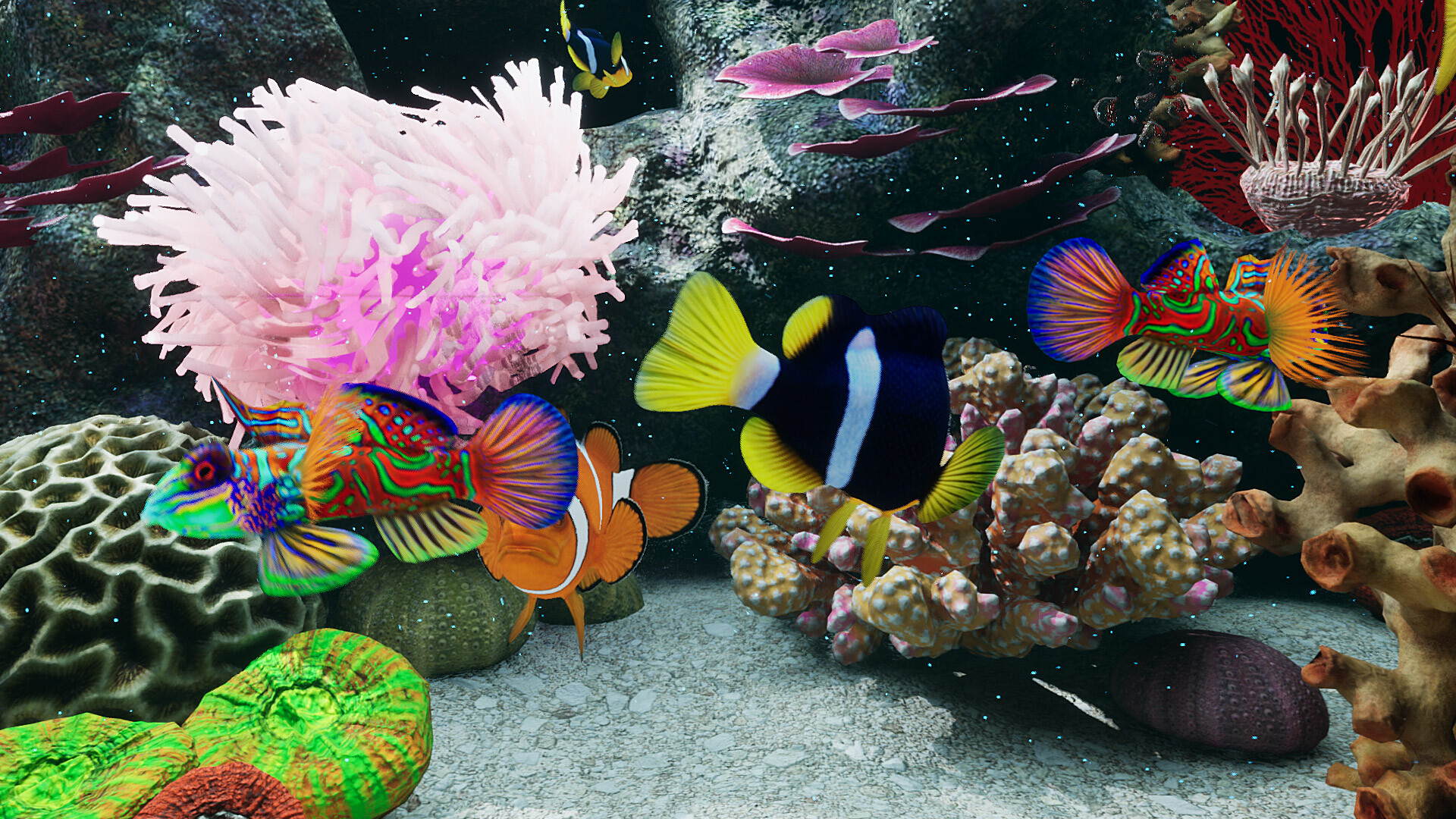 Sea Aquarium Screensaver screenshot 5