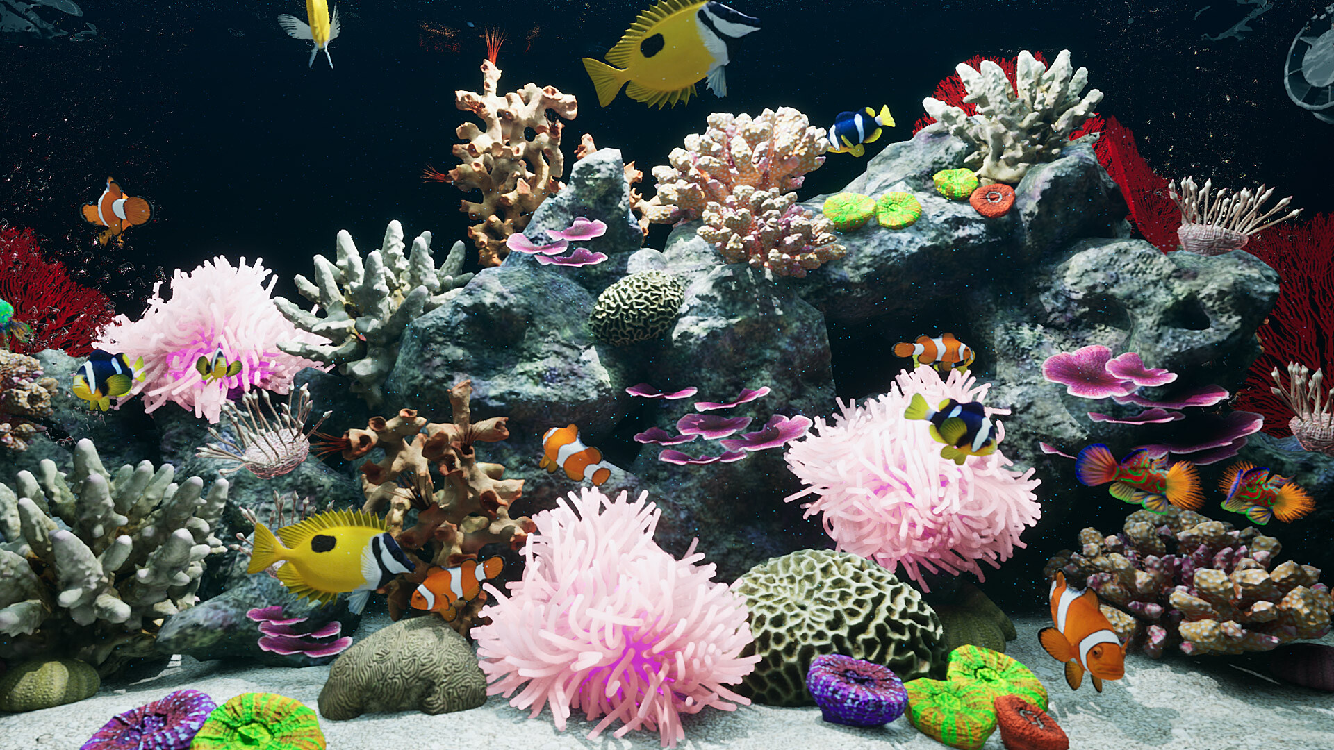 Sea Aquarium Screensaver screenshot 3