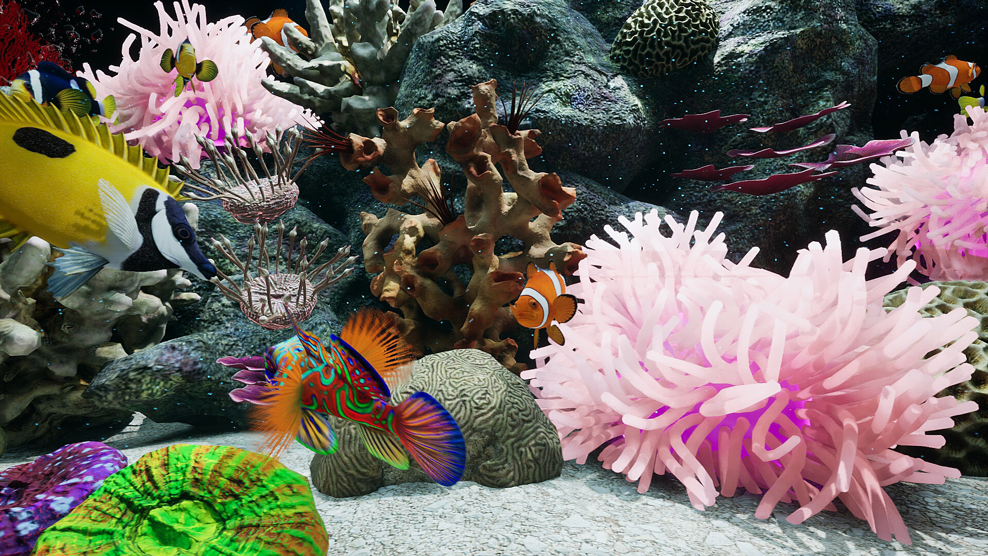 Sea Aquarium Screensaver screenshot 8