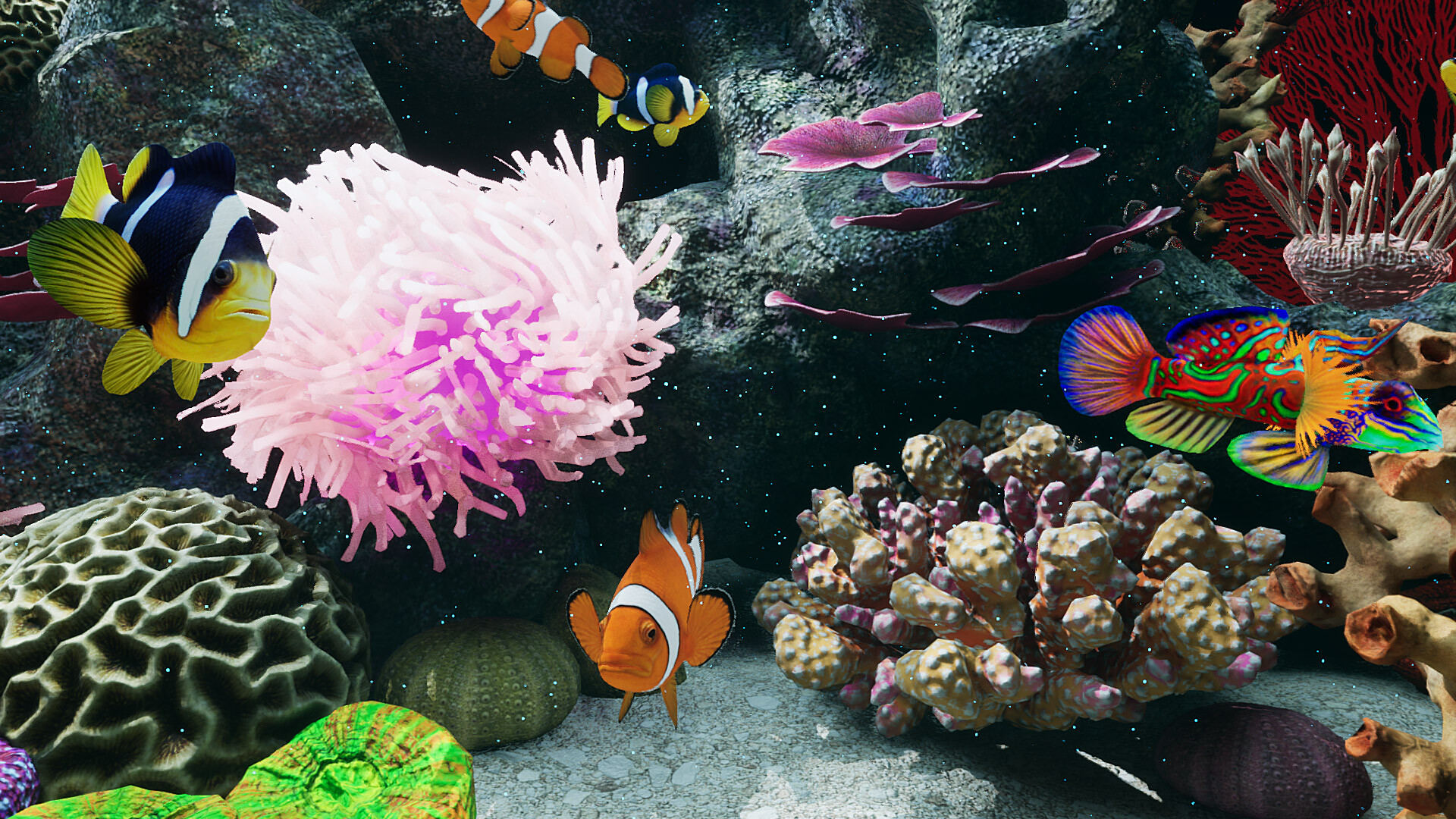 Sea Aquarium Screensaver screenshot 7