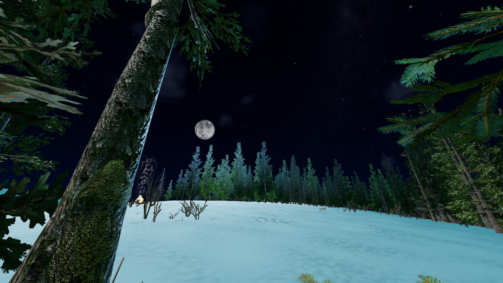 Bushcraft Survival screenshot 5