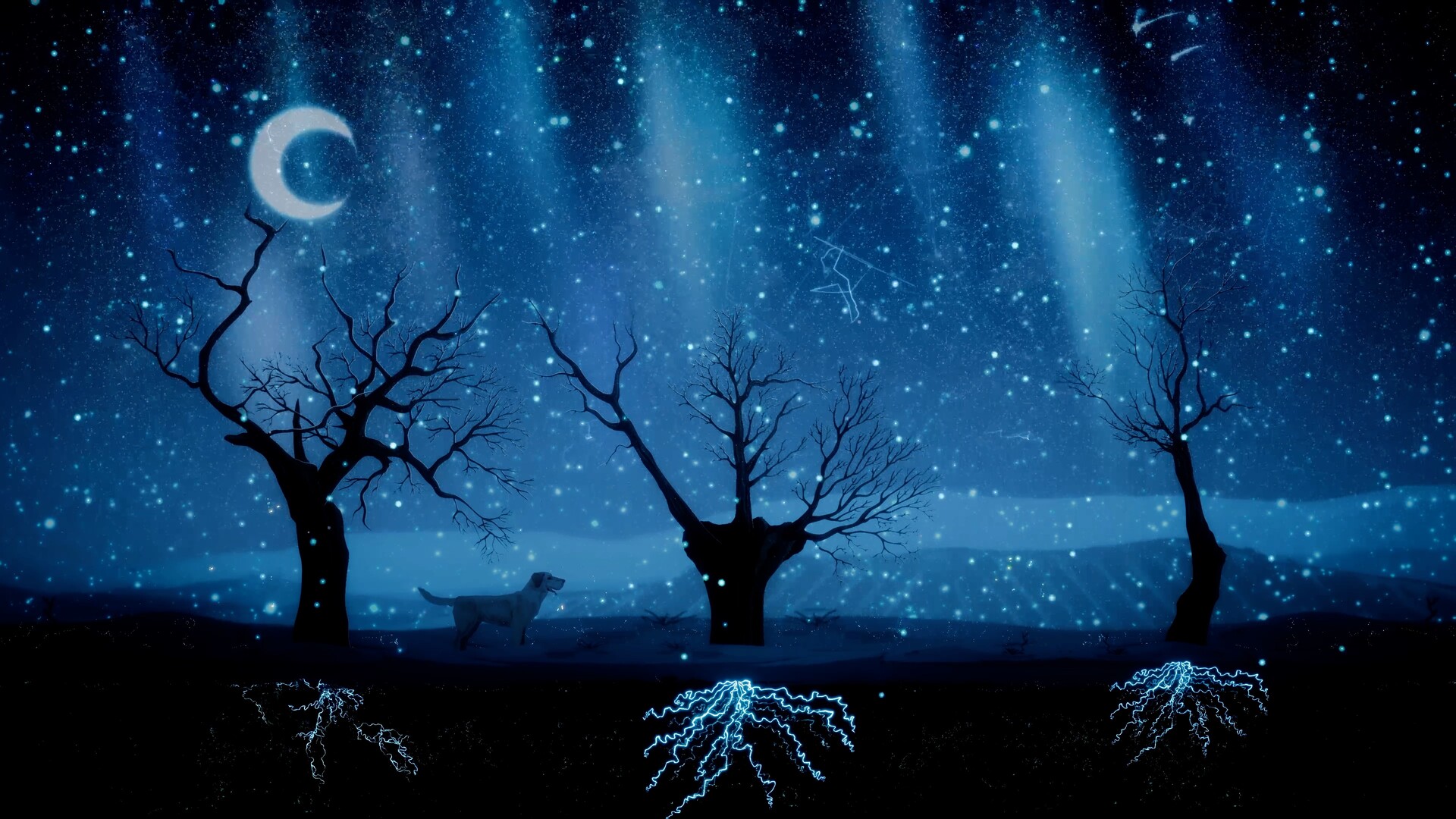 Treeplanter: Plant real trees🌲 screenshot 6