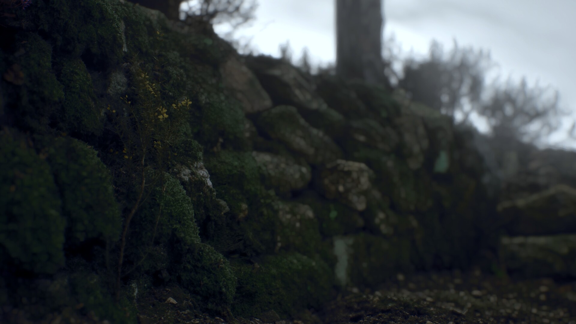 Ritual Tides screenshot 5