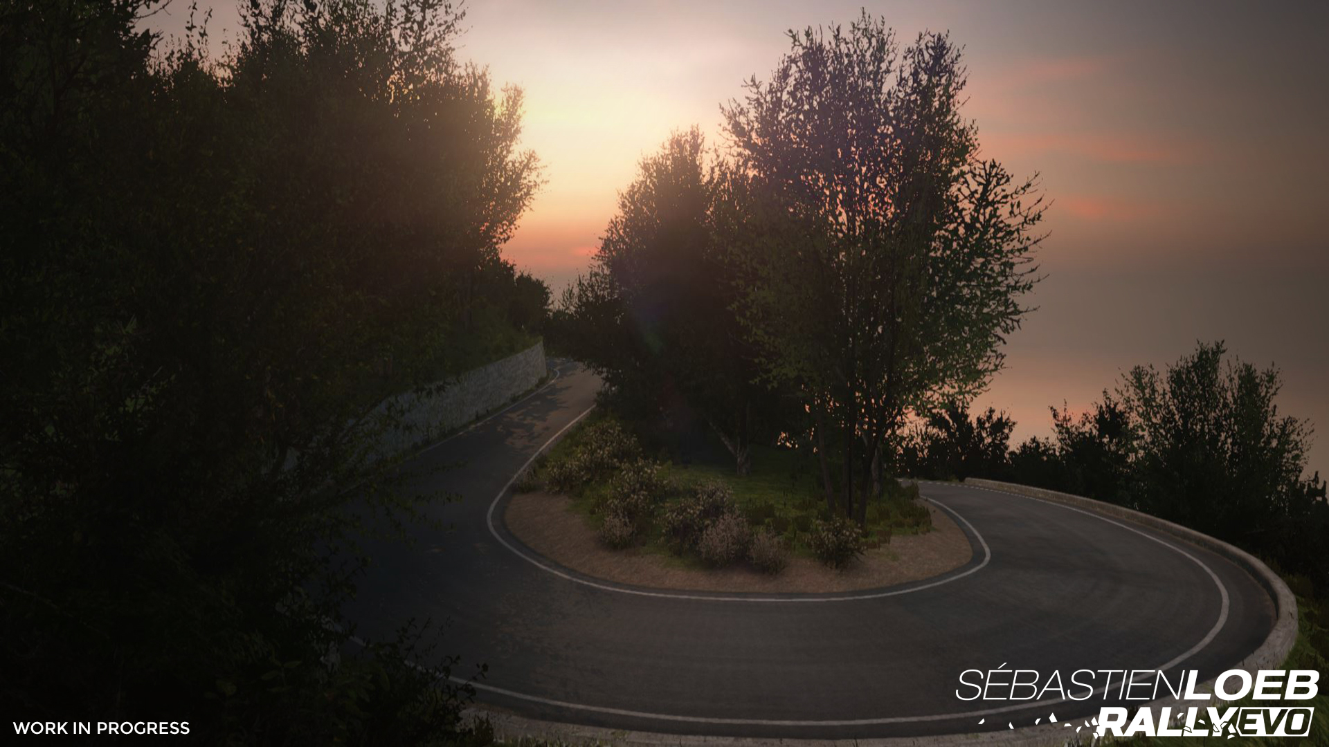 Sébastien Loeb Rally EVO screenshot 14