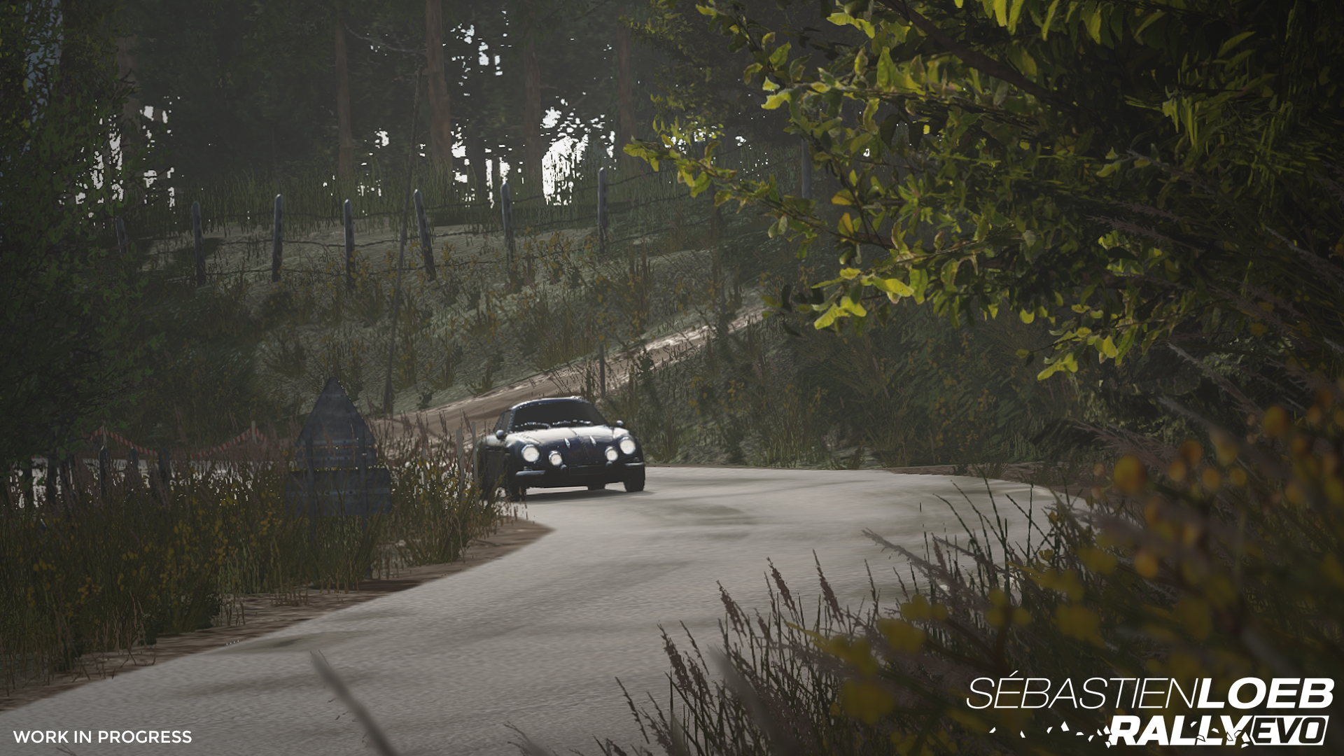 Sébastien Loeb Rally EVO screenshot 10