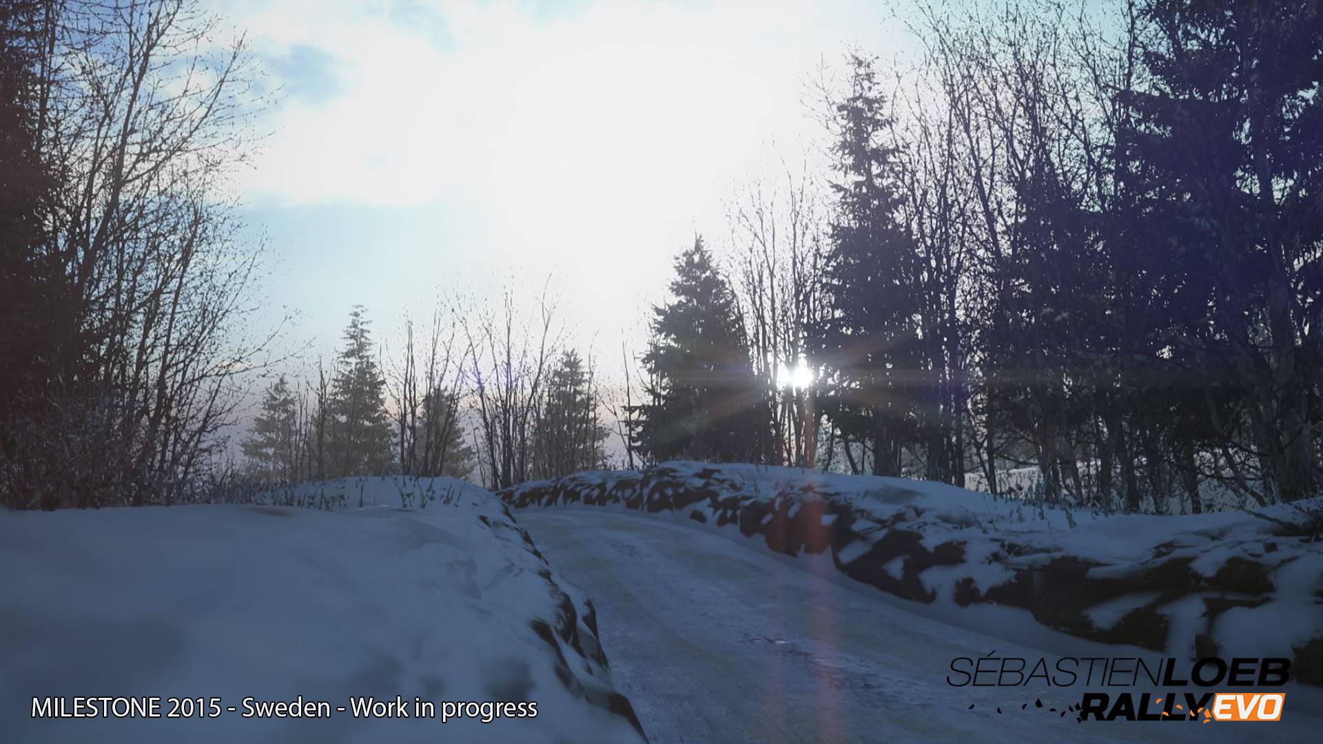 Sébastien Loeb Rally EVO screenshot 21
