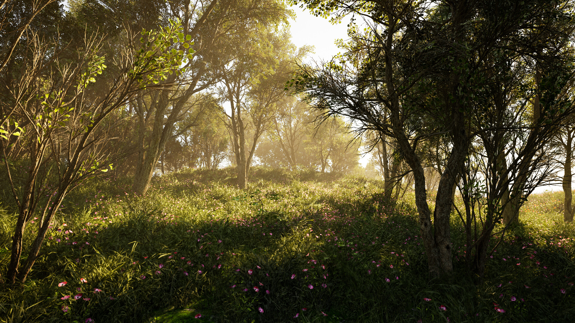 Calming Forest screenshot 2