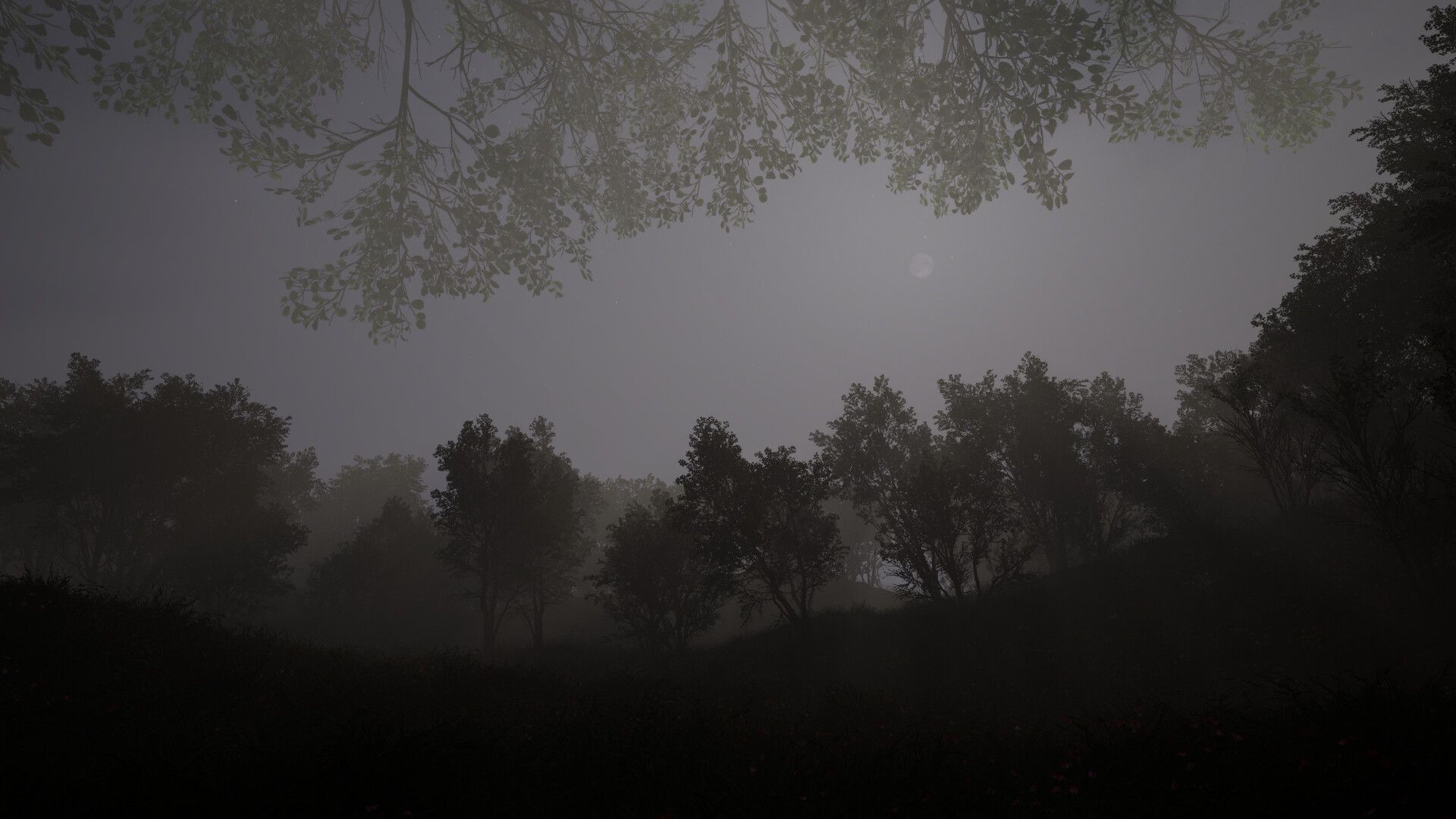 Calming Forest screenshot 4