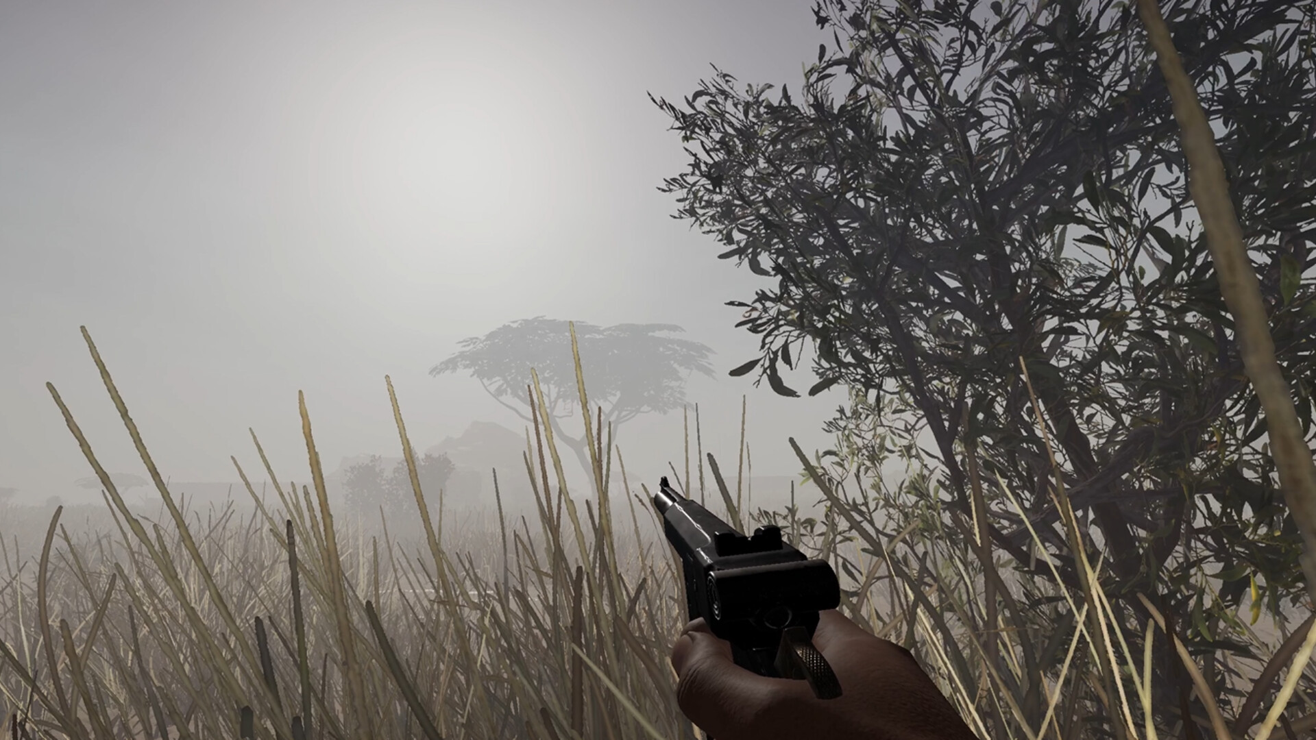 DION screenshot 3