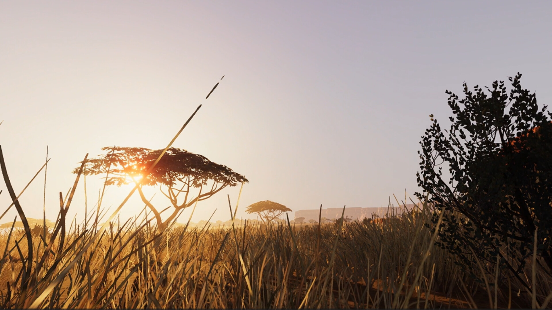 DION screenshot 1