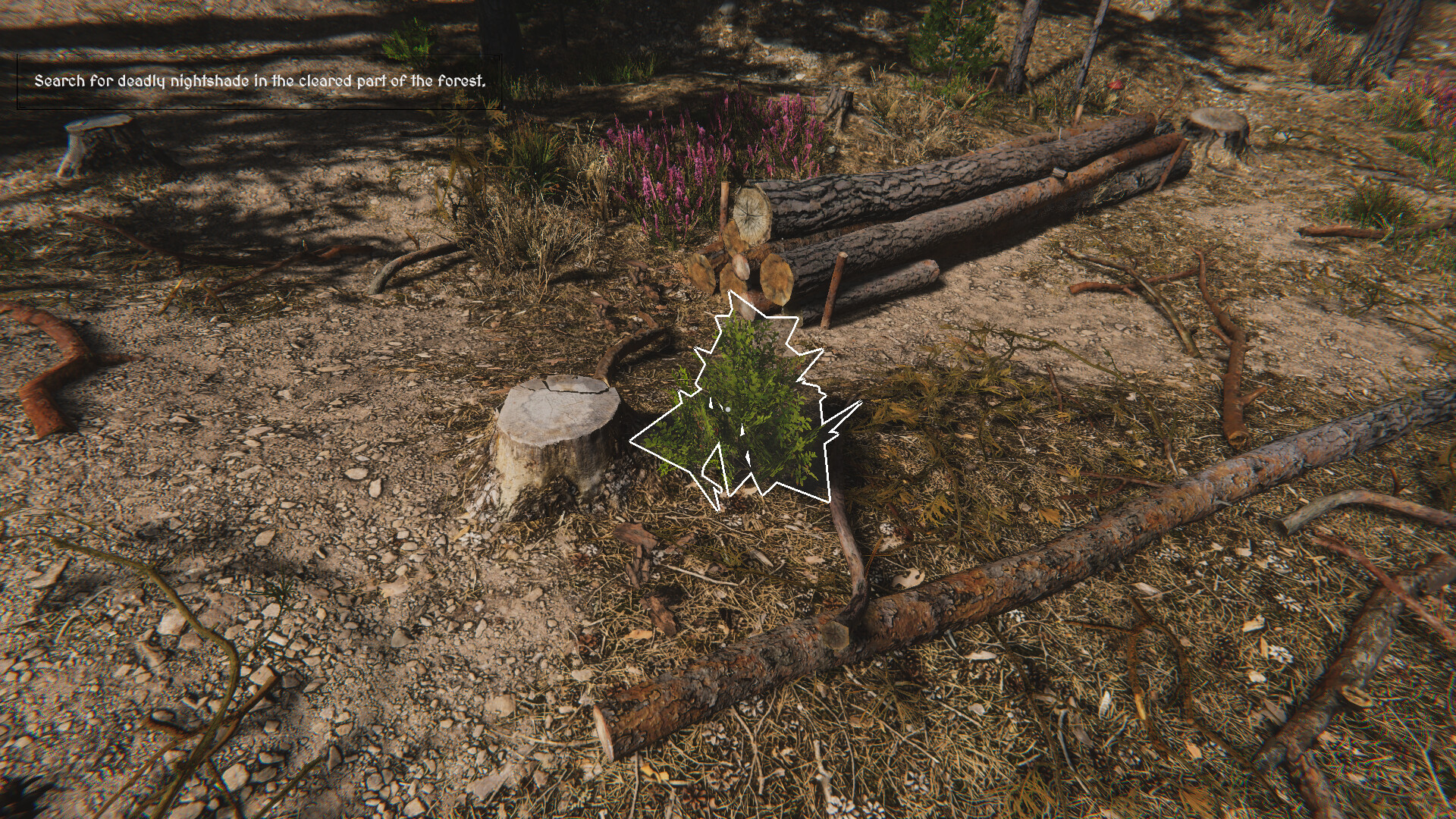 Herbalist Roman screenshot 3