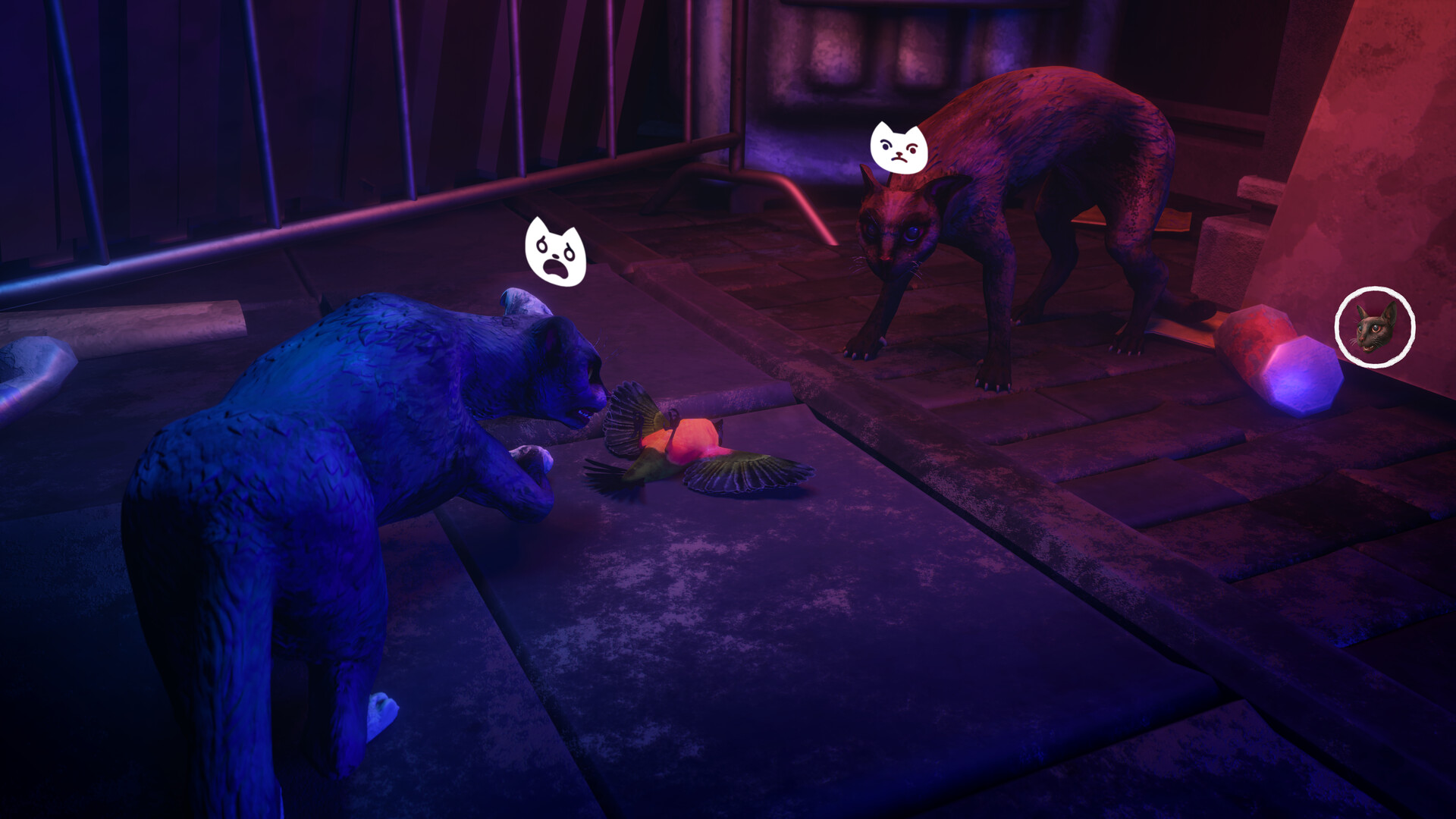 The Cat: Tales of Istanbul screenshot 1