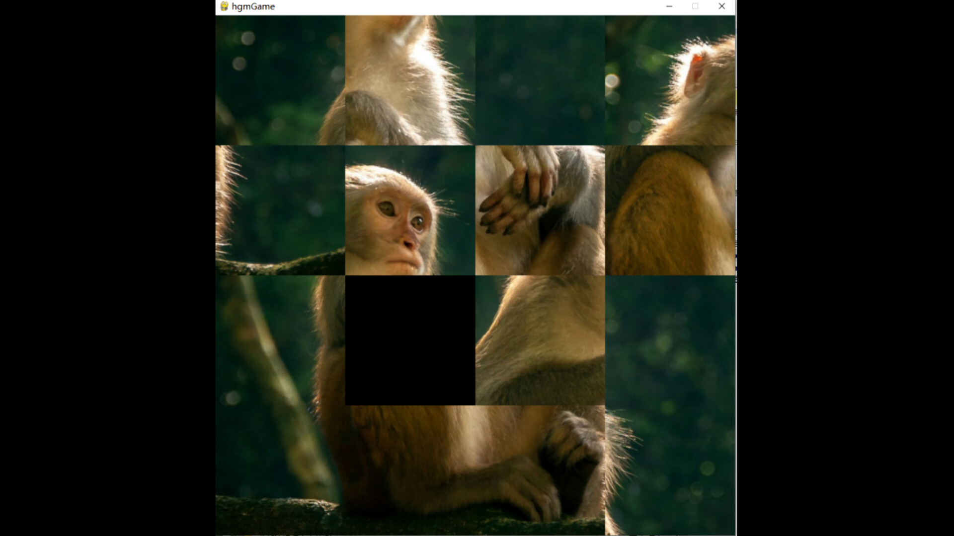 hgmGame-monkey screenshot 1