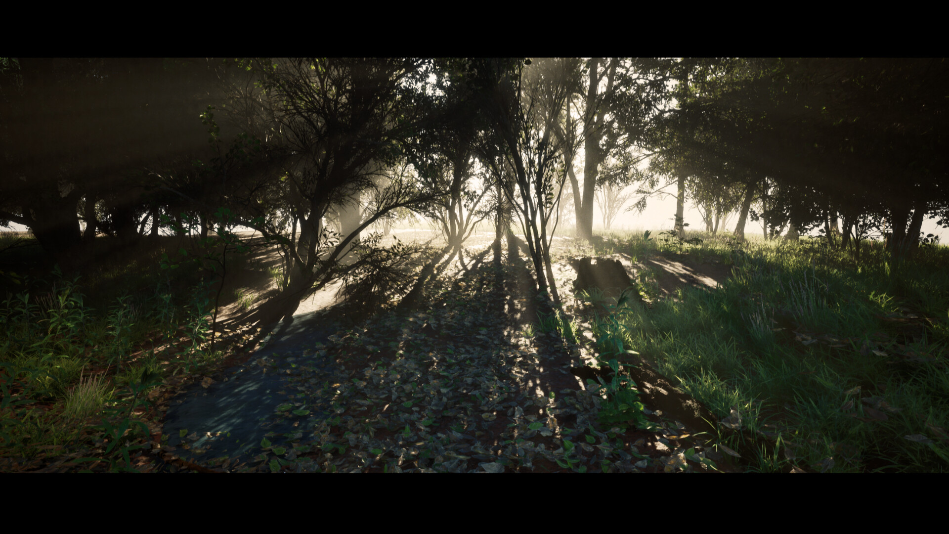 Nietzsche's Shadow screenshot 4