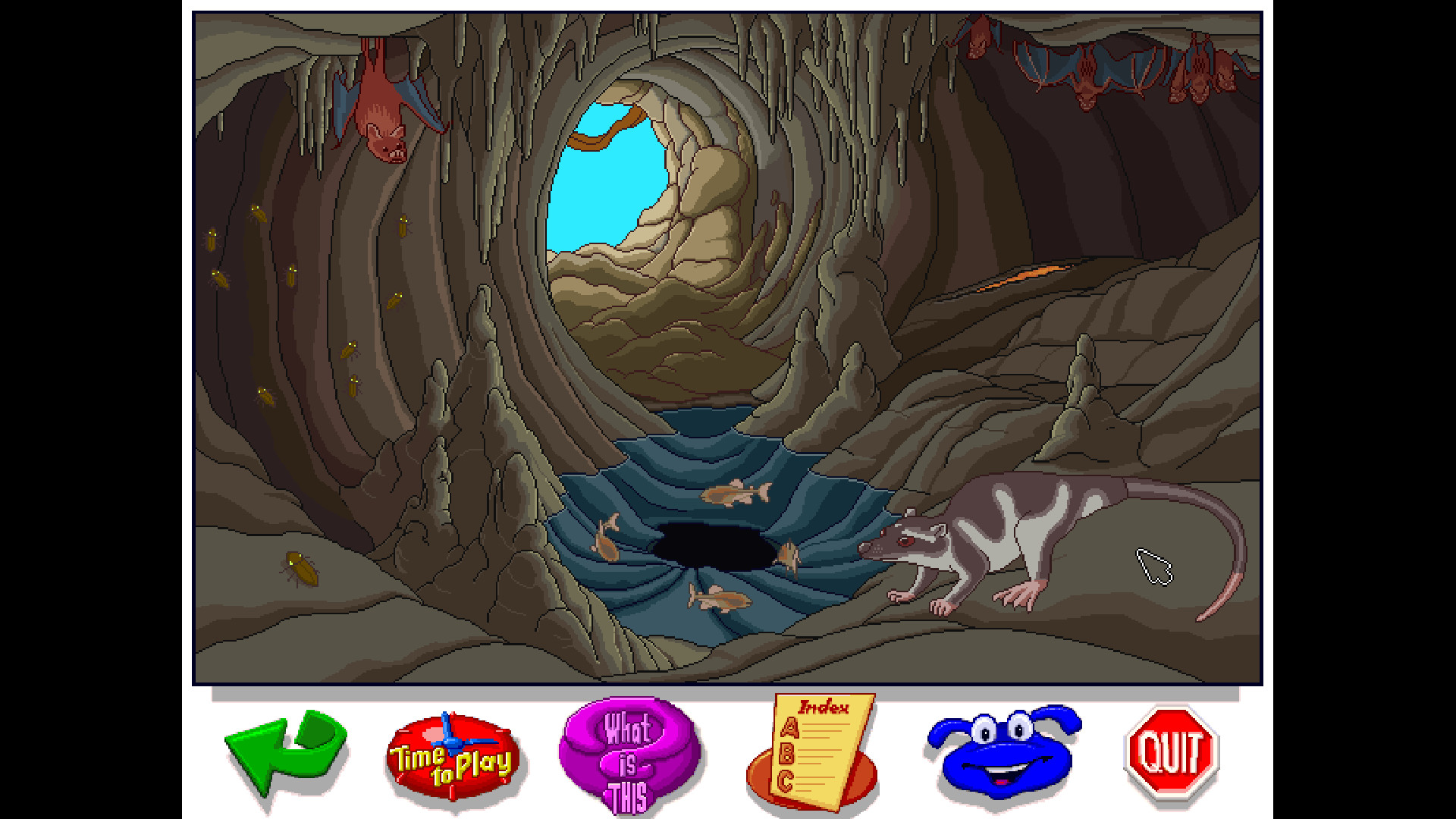 Let's Explore the Jungle (Junior Field Trips) screenshot 8