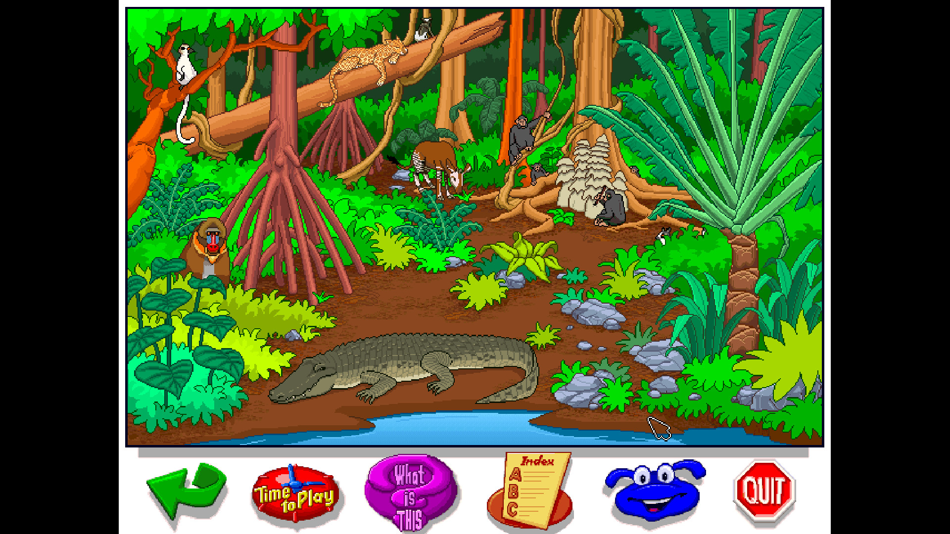 Let's Explore the Jungle (Junior Field Trips) screenshot 7