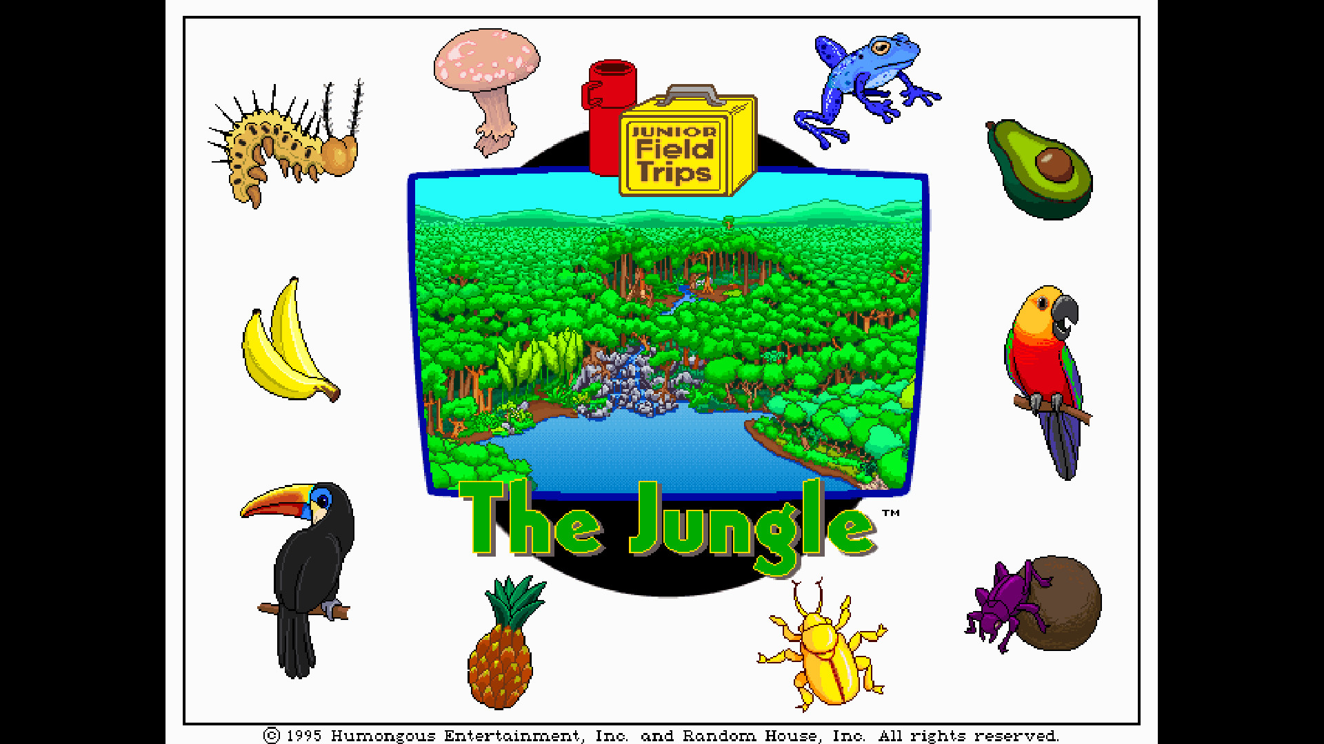 Let's Explore the Jungle (Junior Field Trips) screenshot 1
