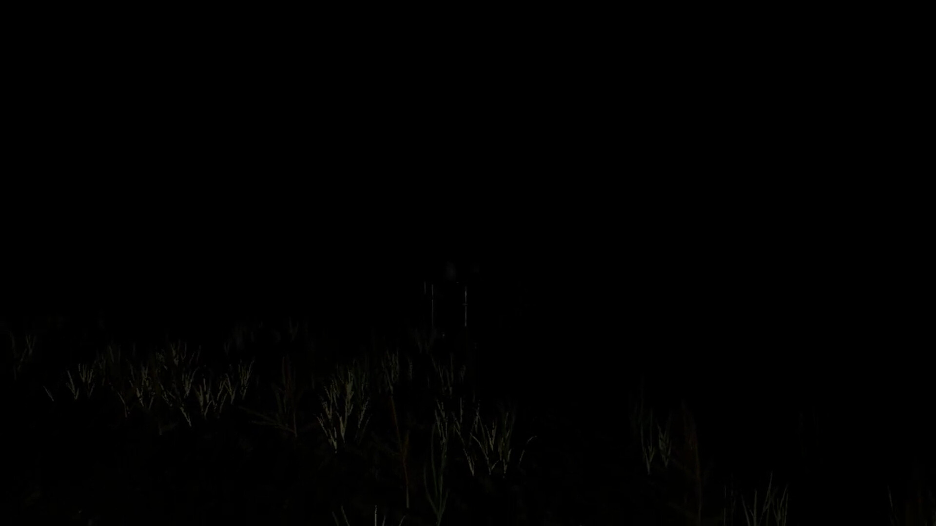 Mountain's Memory screenshot 3