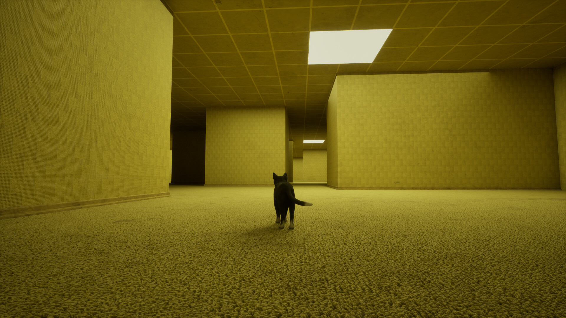 LIMINAL CAT screenshot 5