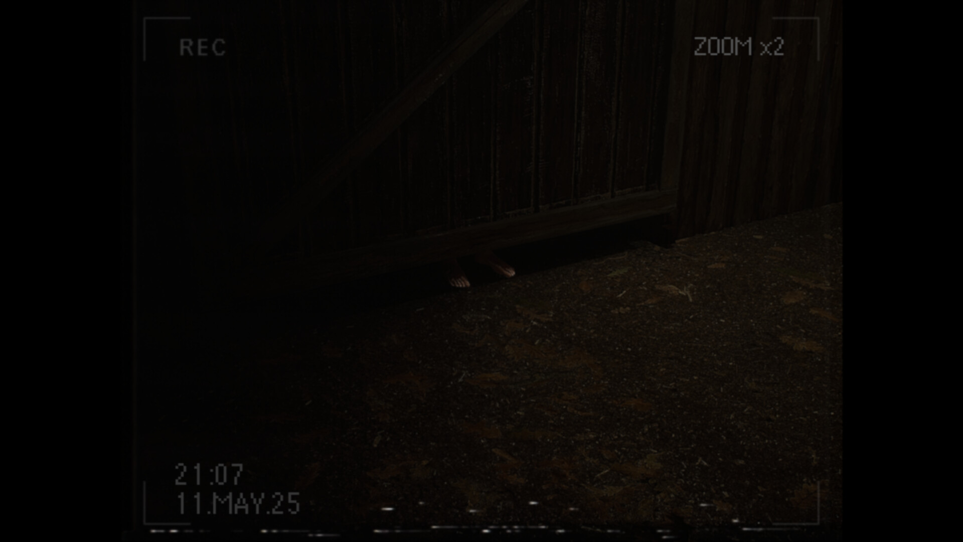 What Happened to Lily? screenshot 5