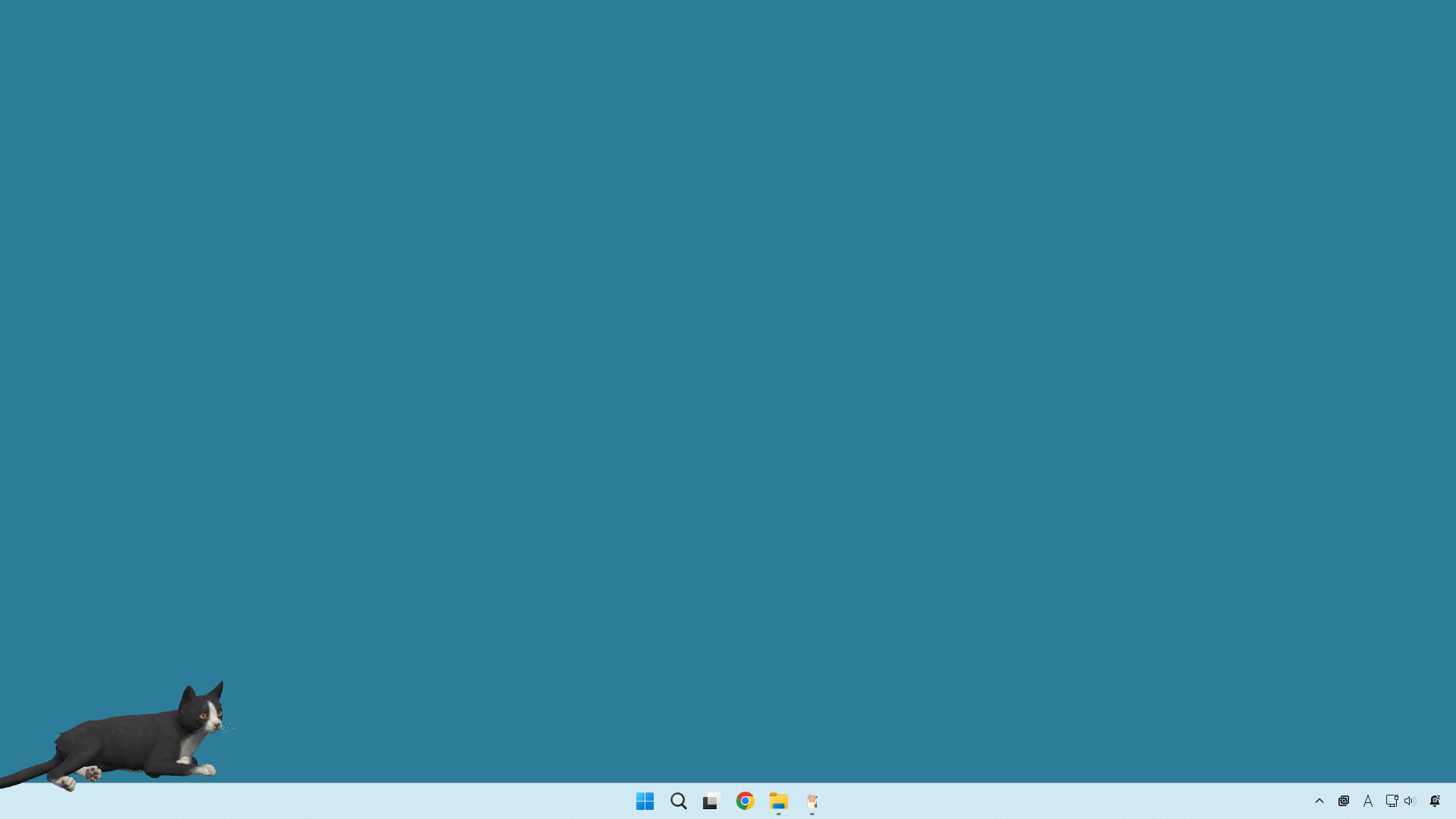 desktop my cat screenshot 1