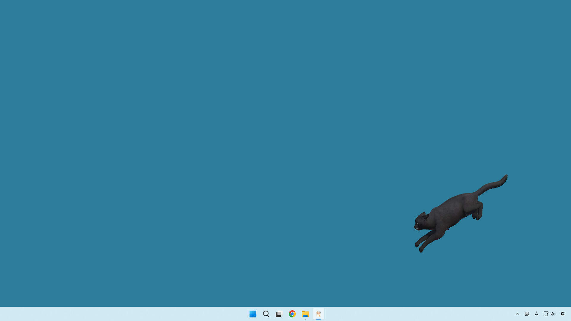 desktop my cat screenshot 5