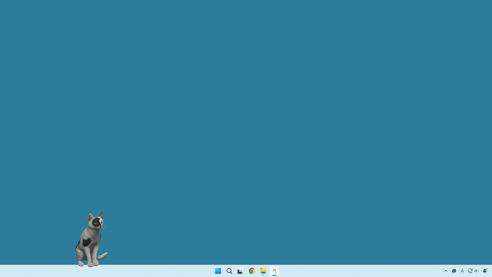 desktop my cat screenshot 2