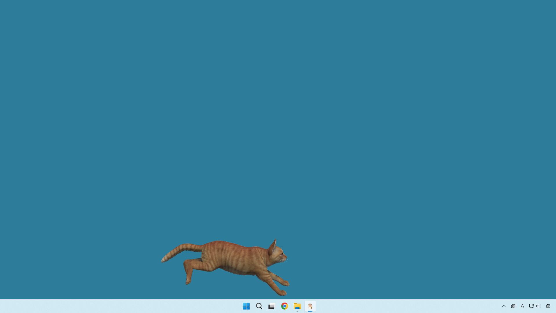 desktop my cat screenshot 4