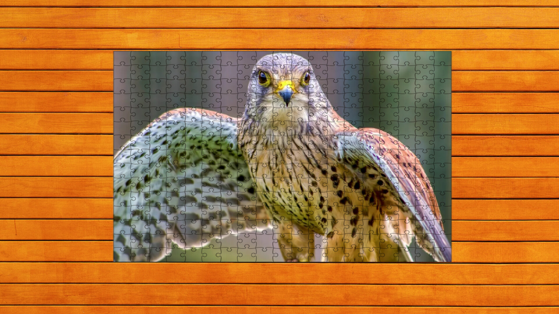 Whispers of Wings Jigsaw Puzzles screenshot 4