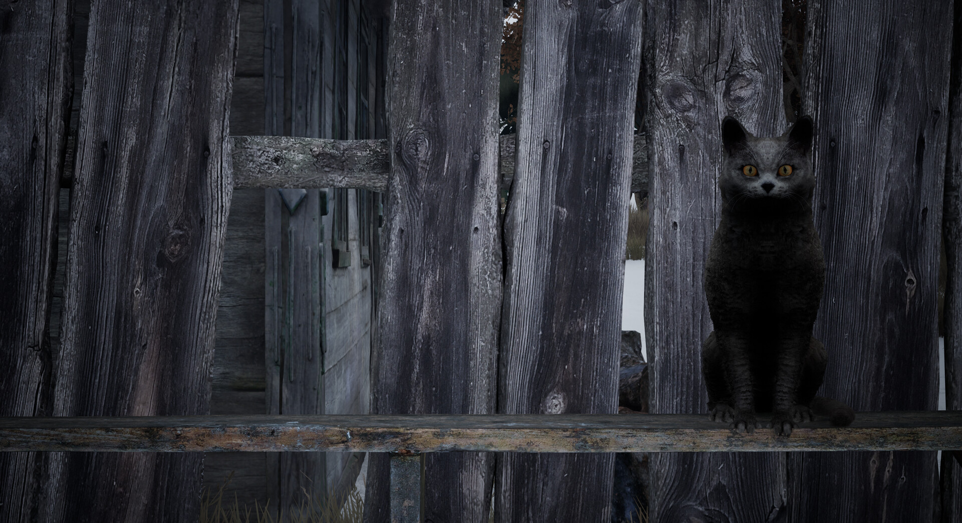 Beyond Faded Voices screenshot 14