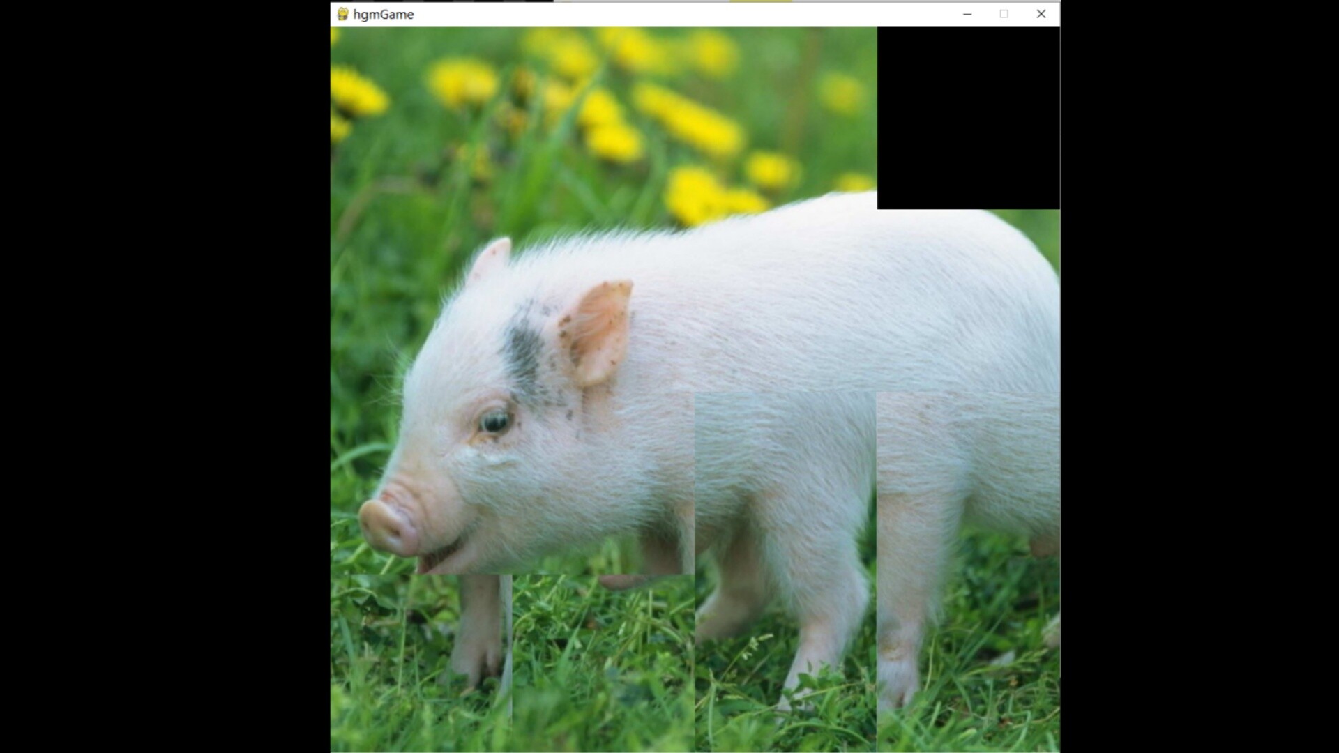 hgmGame-pig screenshot 1