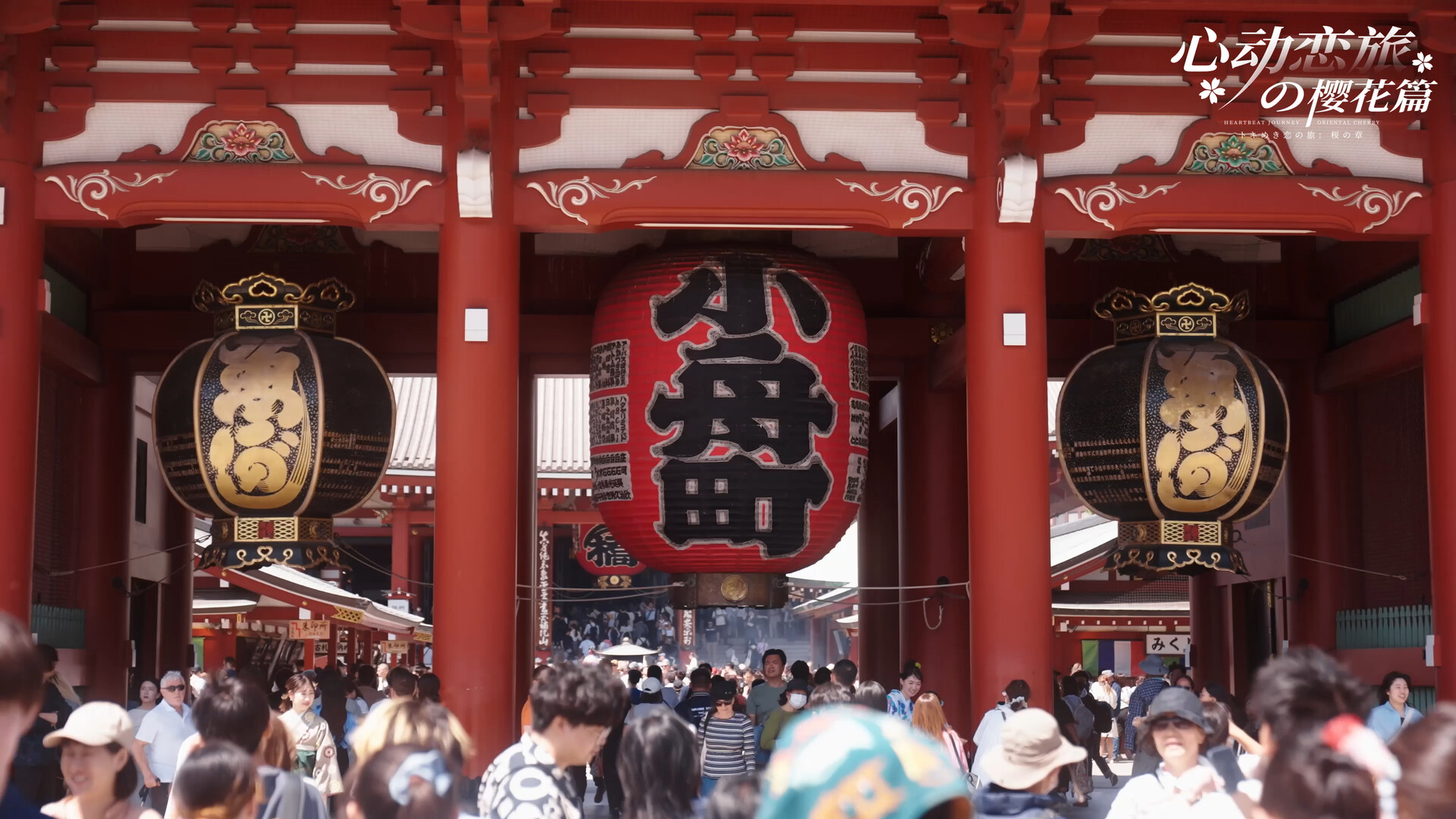 心动恋旅:樱花篇 screenshot 5
