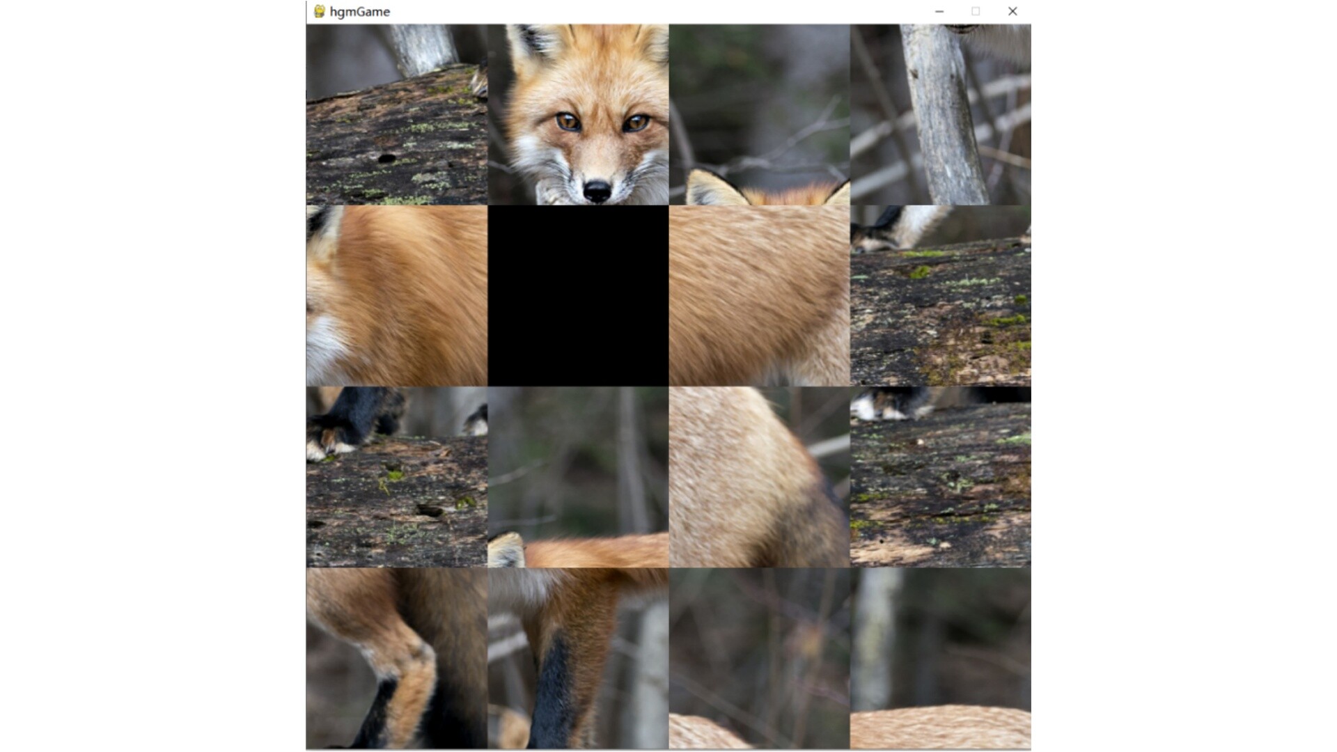 hgmGame-fox screenshot 2