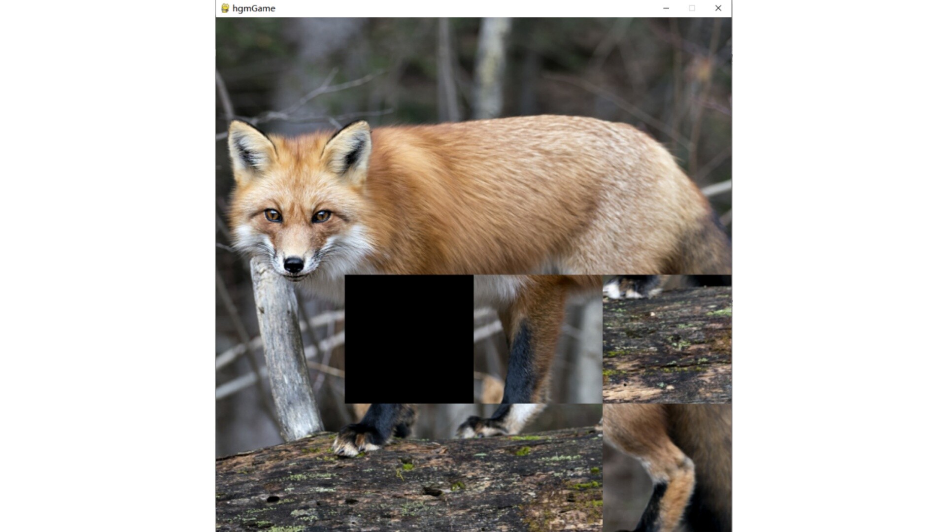 hgmGame-fox screenshot 3