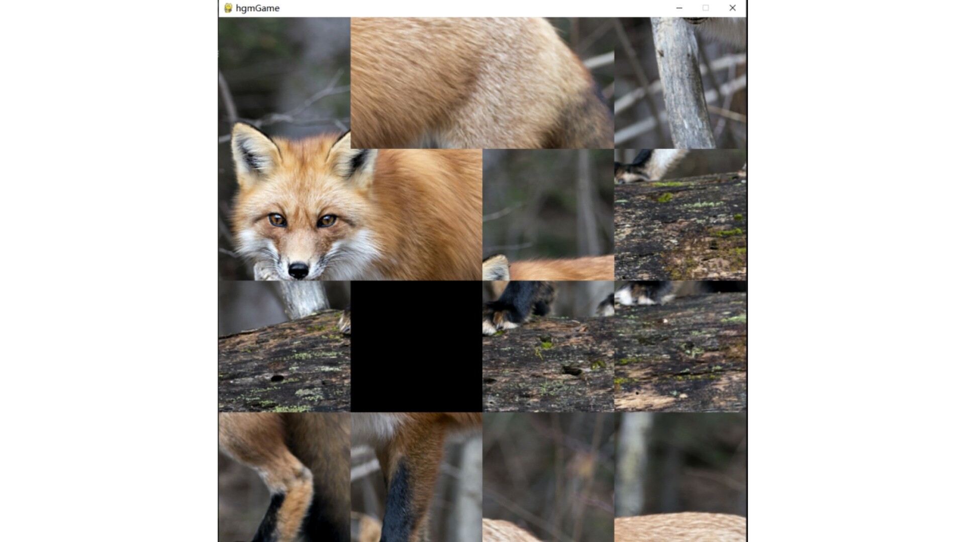hgmGame-fox screenshot 1