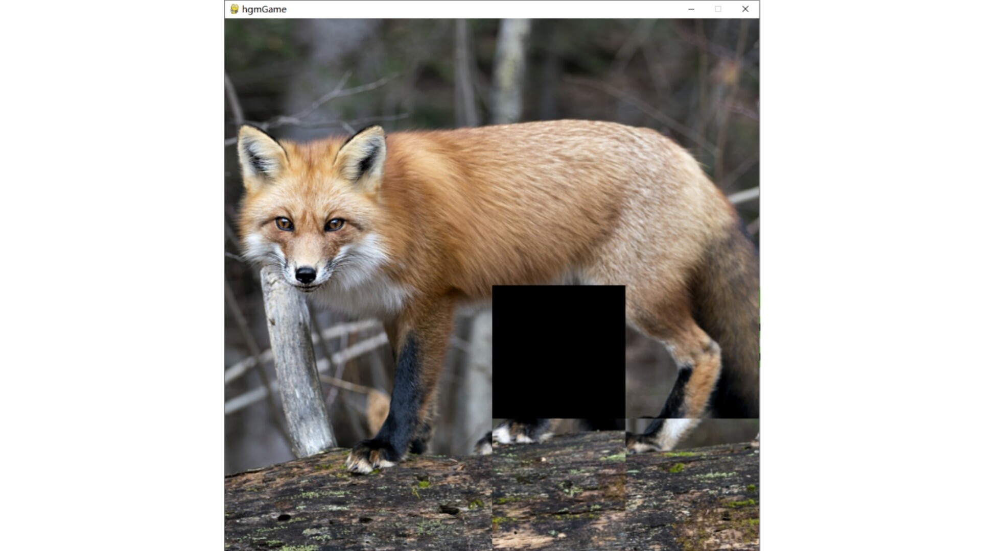 hgmGame-fox screenshot 5