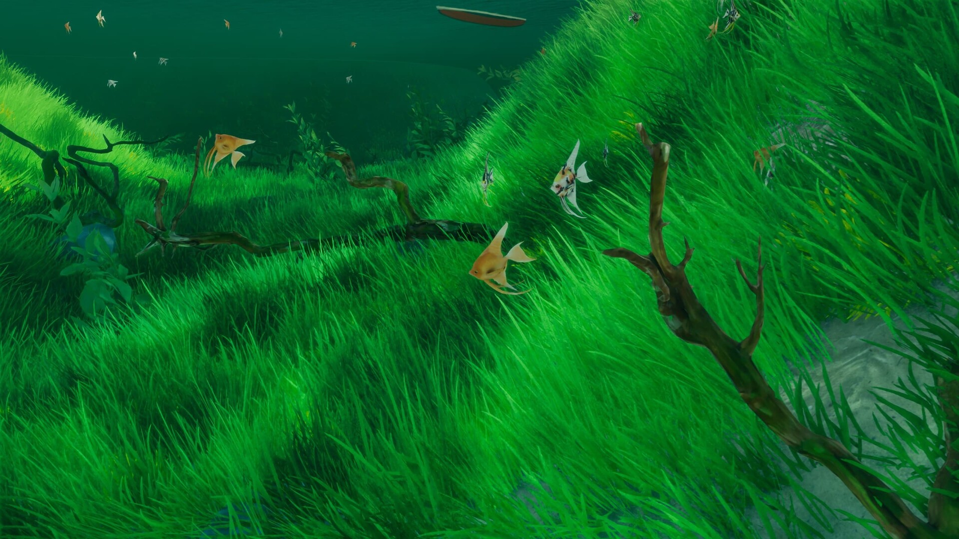 The Aquarium screenshot 12