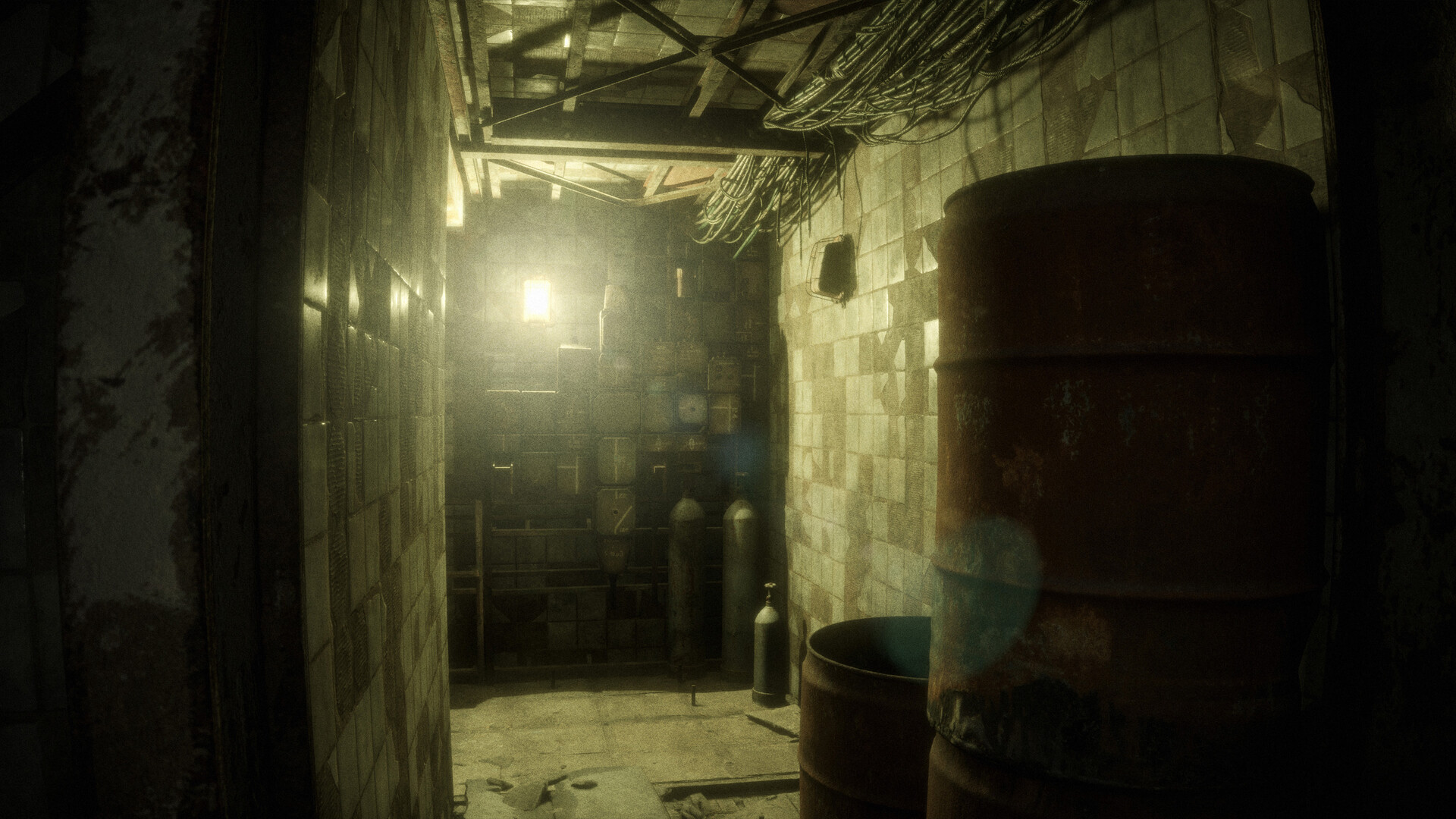 HOST screenshot 6