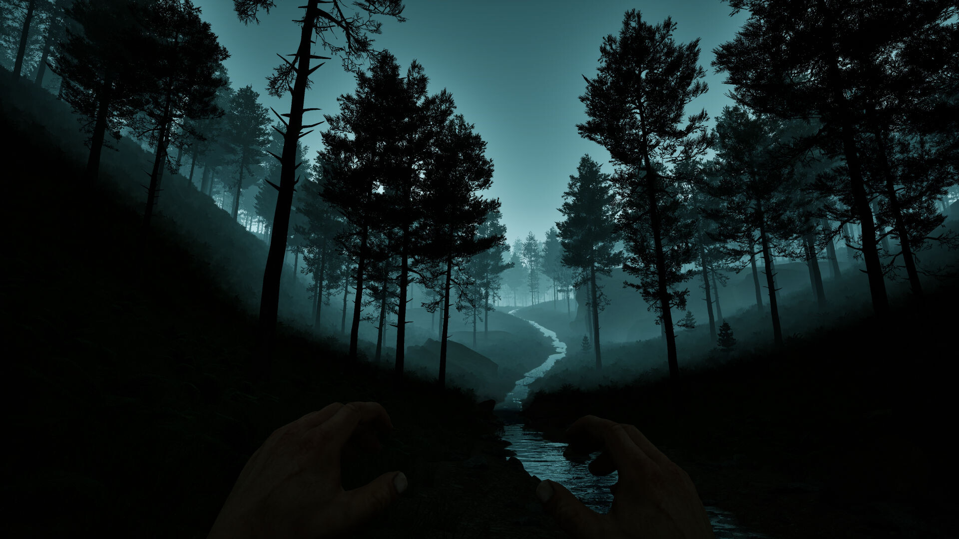 Dark Realms: Mysteries of Hoia Baciu Forest screenshot 2