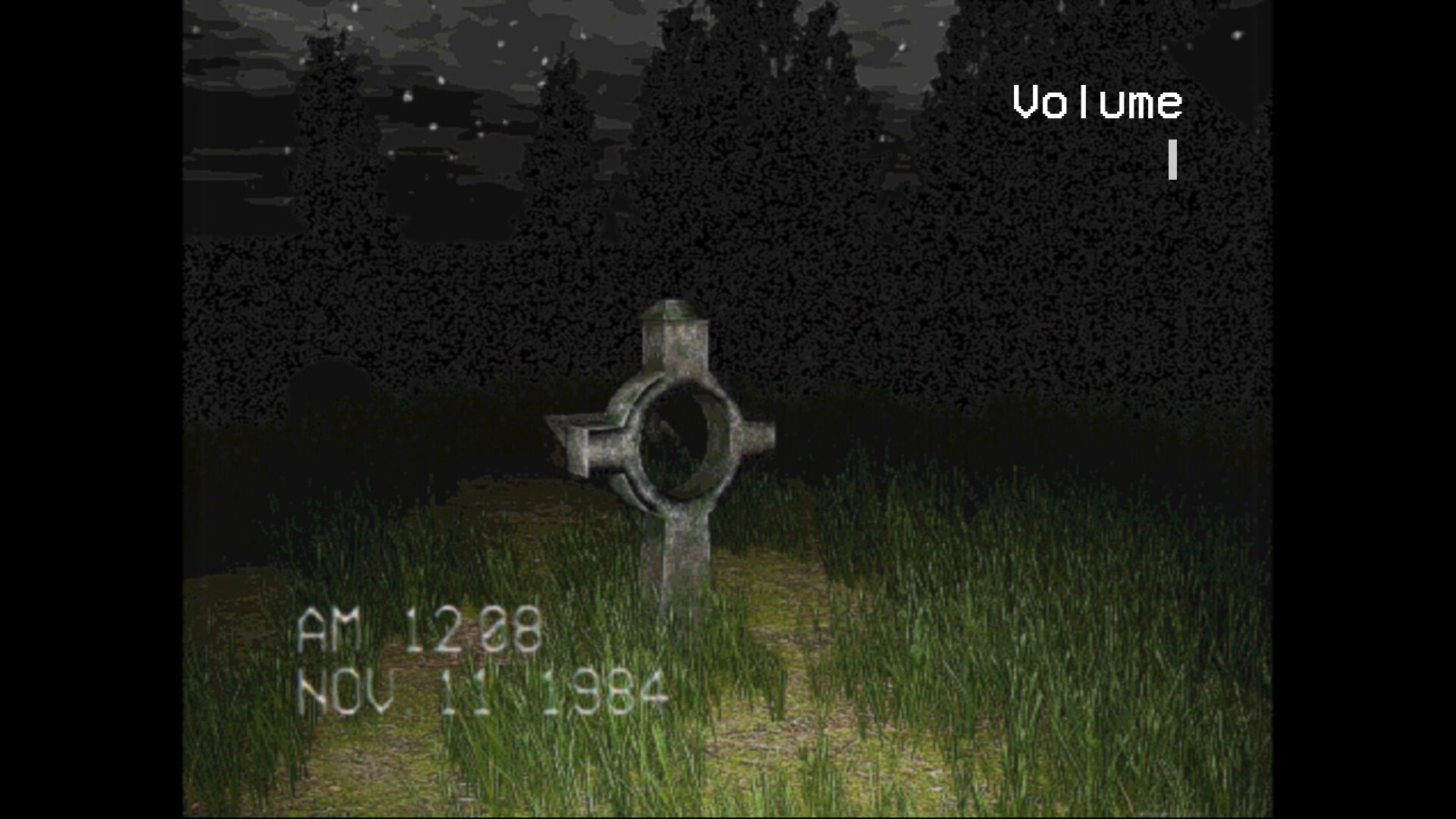 The Silent Witness screenshot 3