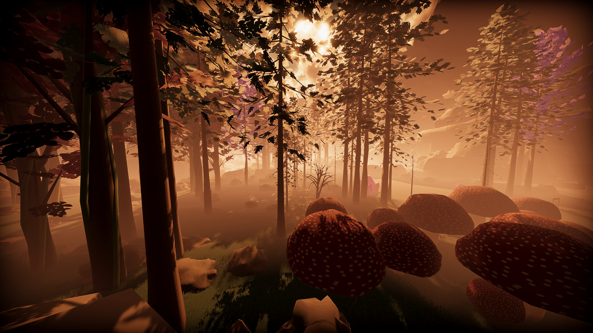 Dawn screenshot 8
