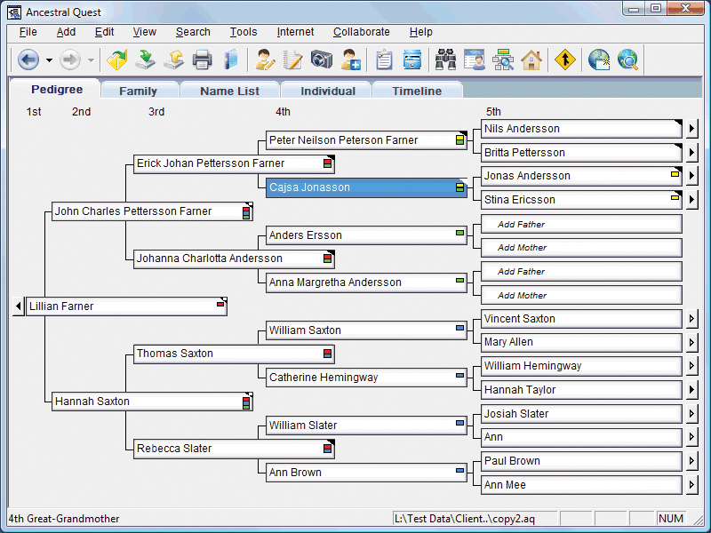 Family Tree Heritage Platinum 9 screenshot 5