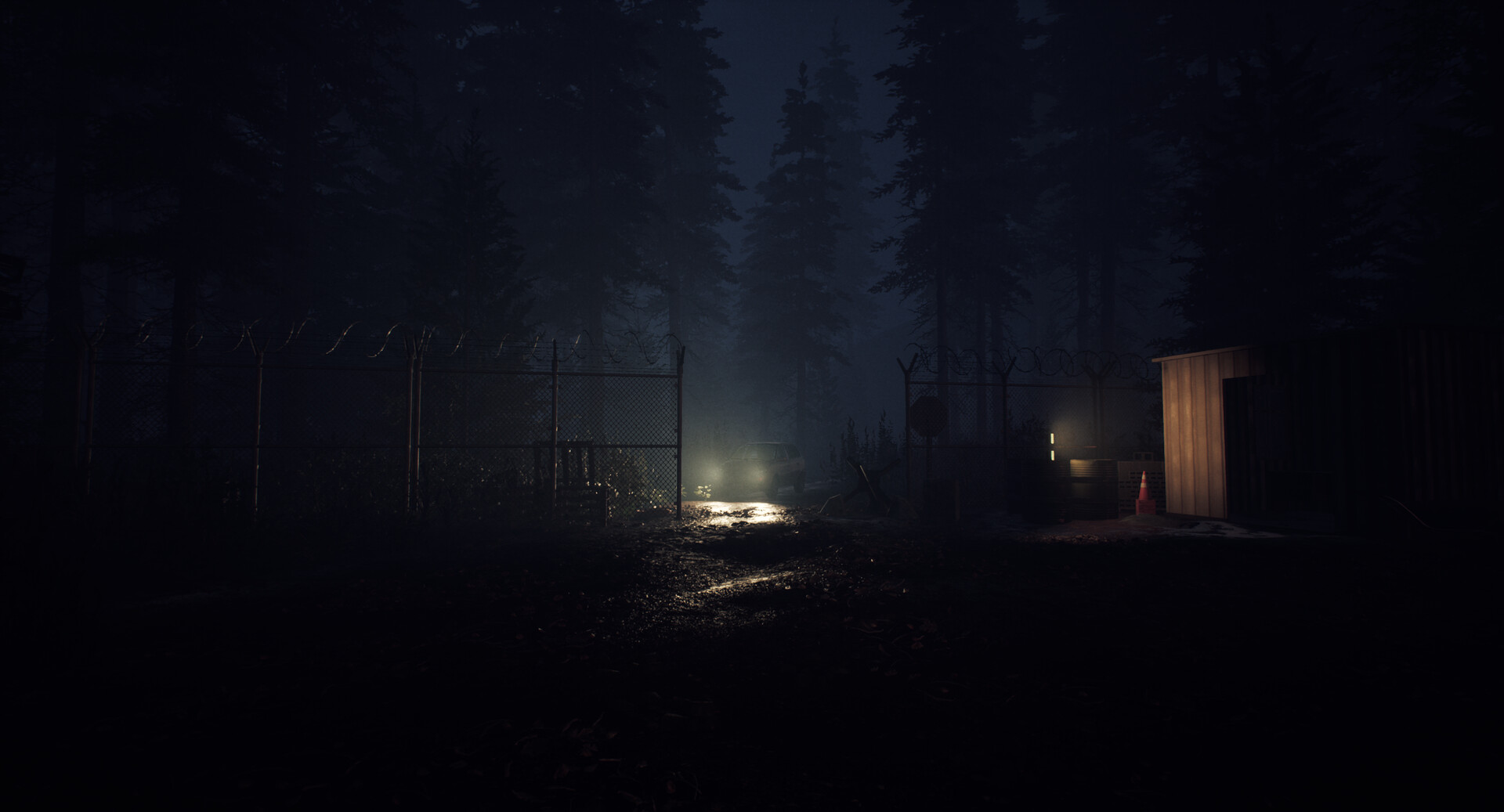 It Happened At Night - A New Nightmare screenshot 2