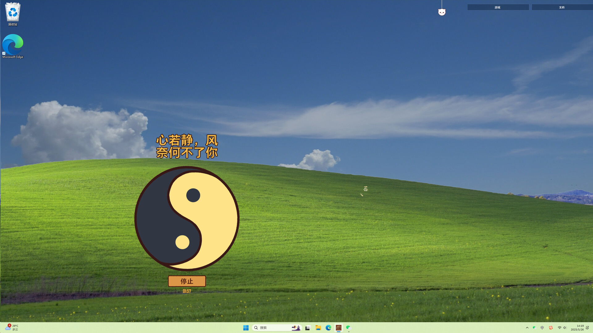Desktop Wooden Fish screenshot 4